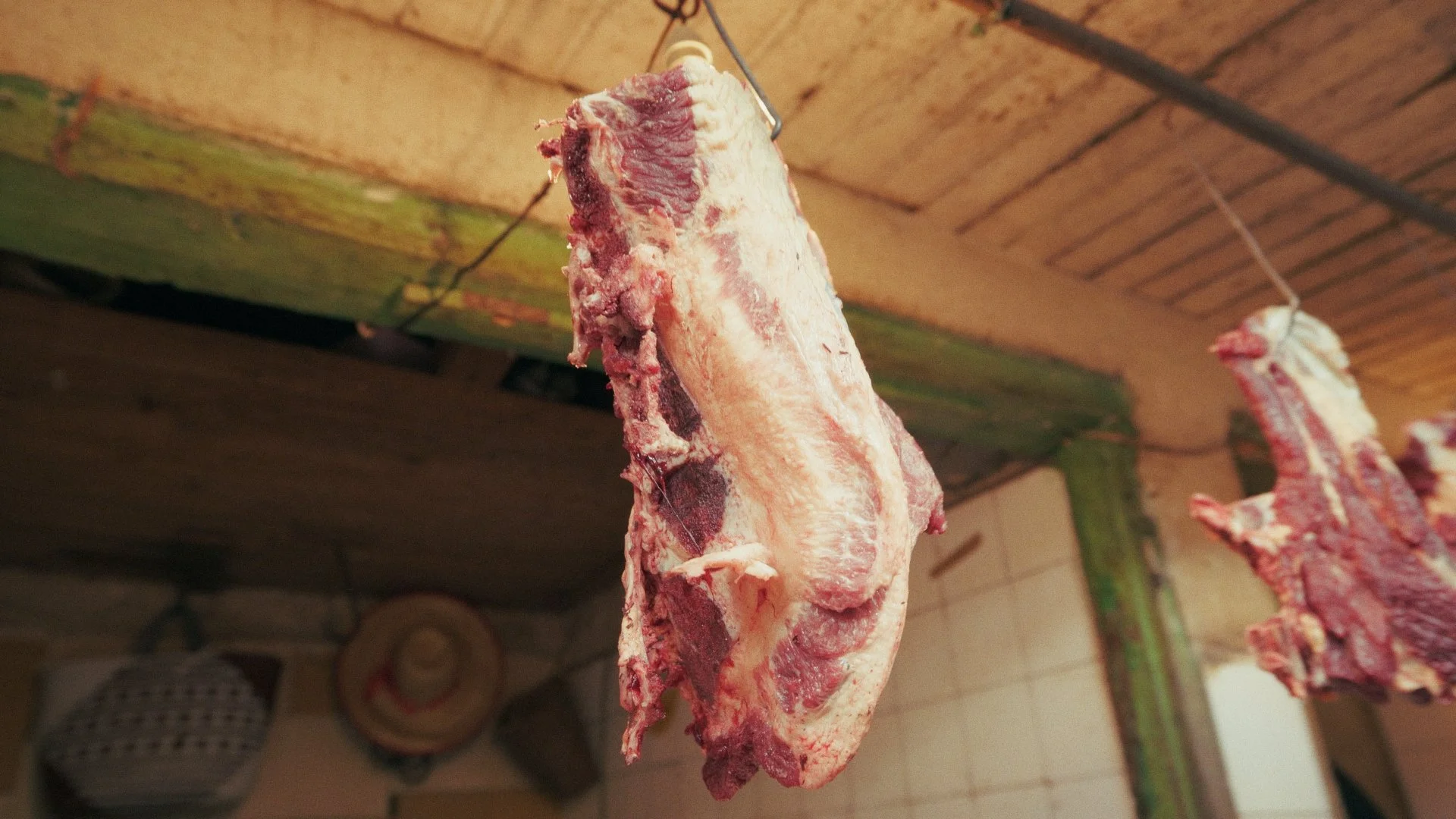 Day 03 Stringout_00_09_51_02.jpg