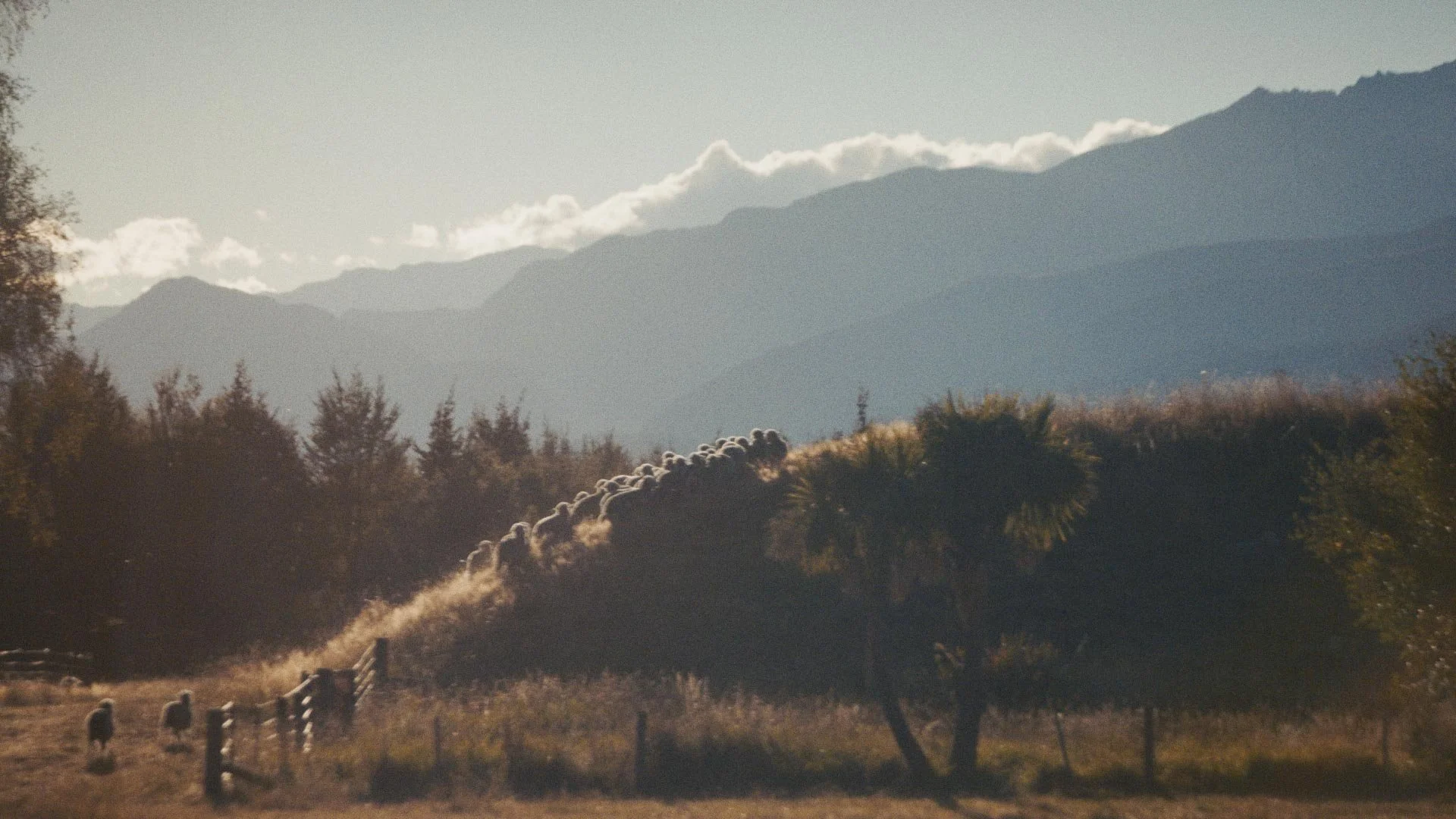 Timeline 3_00_12_30_23.jpg