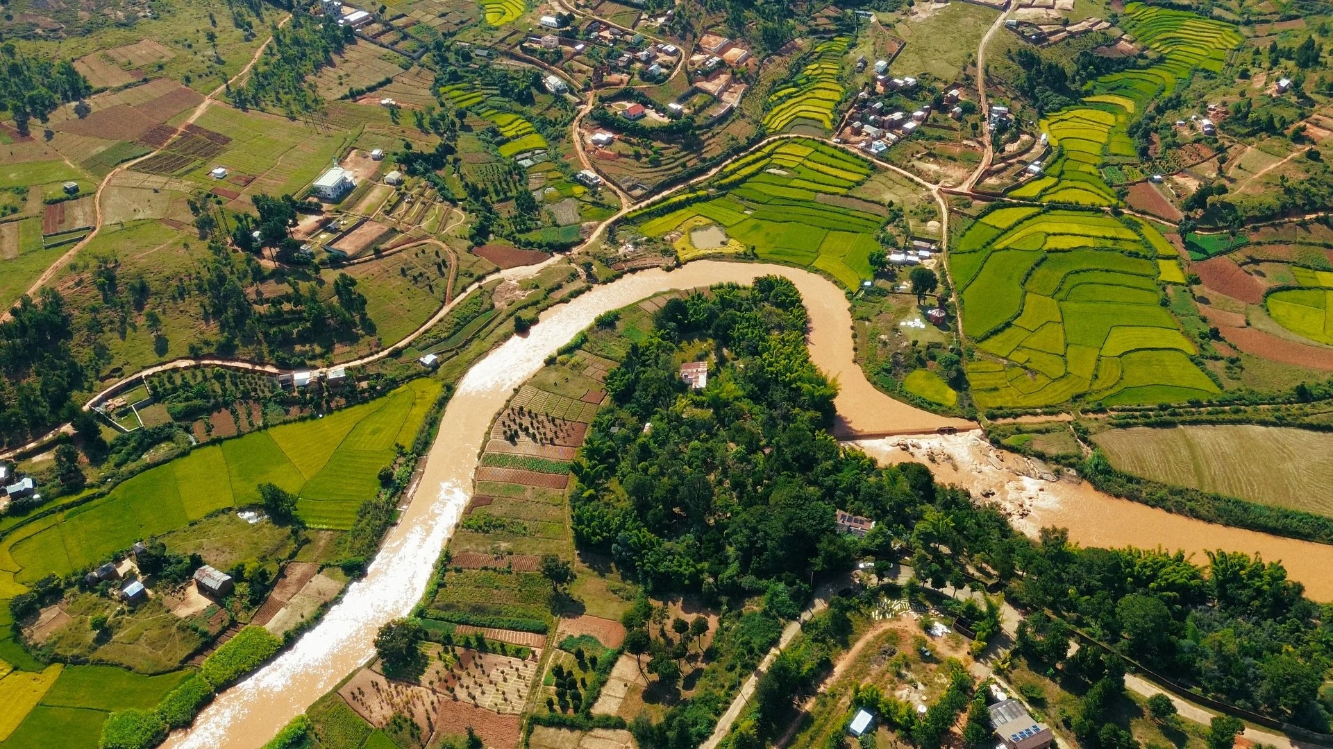 Day 01 Stringout_01_29_41_09.jpg