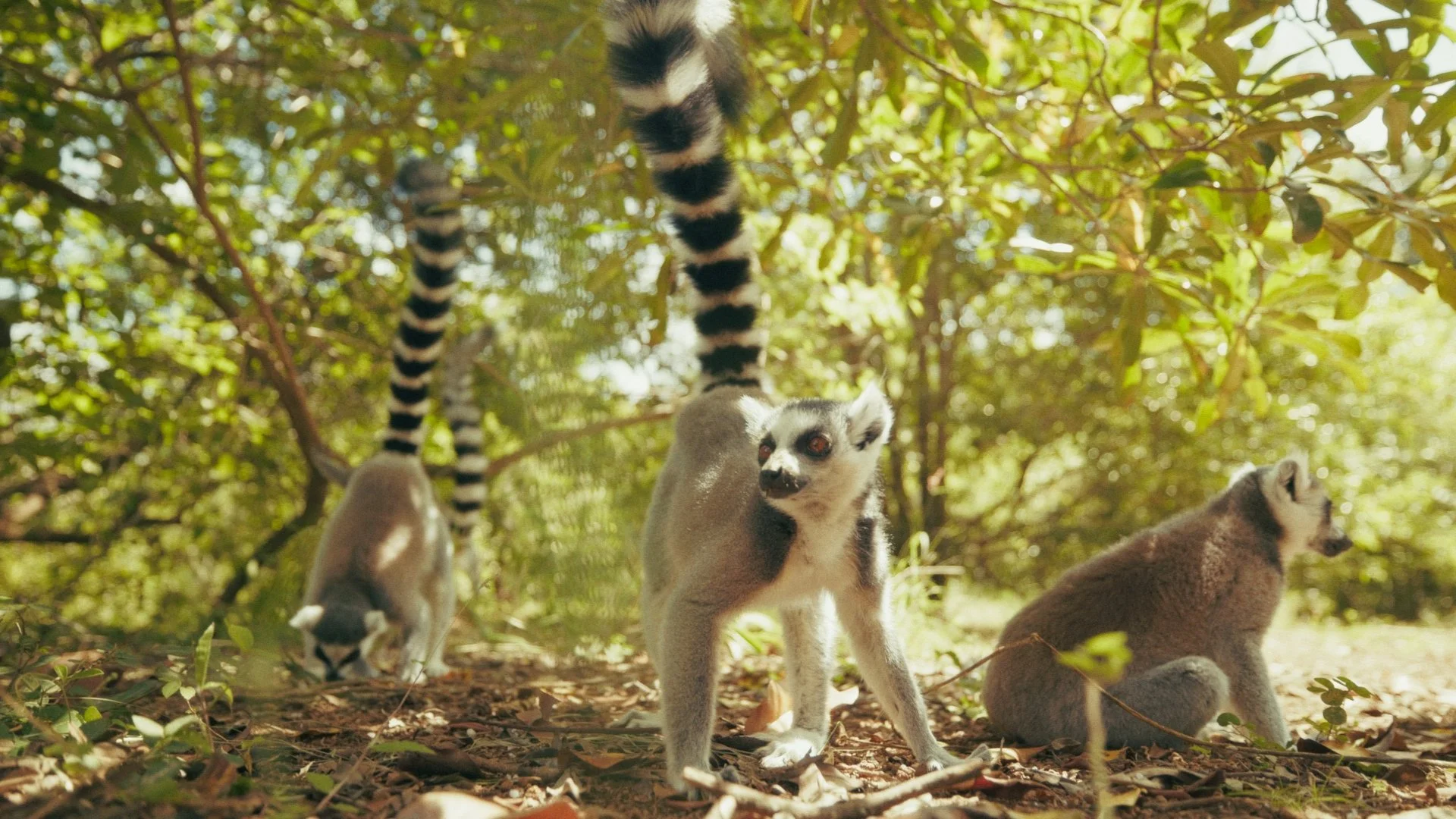 Day 01 Stringout_01_03_52_11.jpg