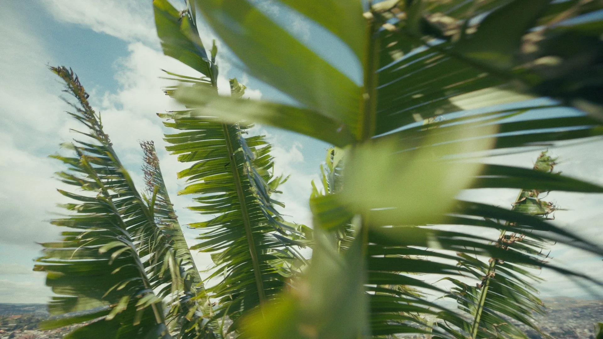 Day 03 Stringout_00_27_22_12.jpg