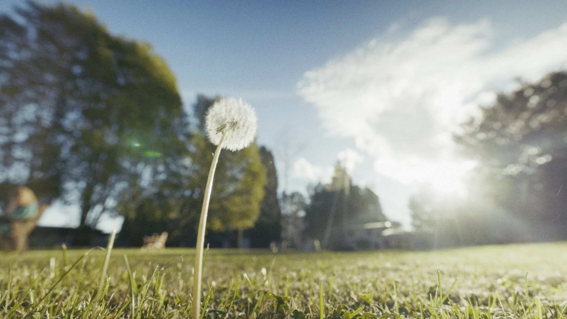 Timeline 3_00_08_11_03.jpg