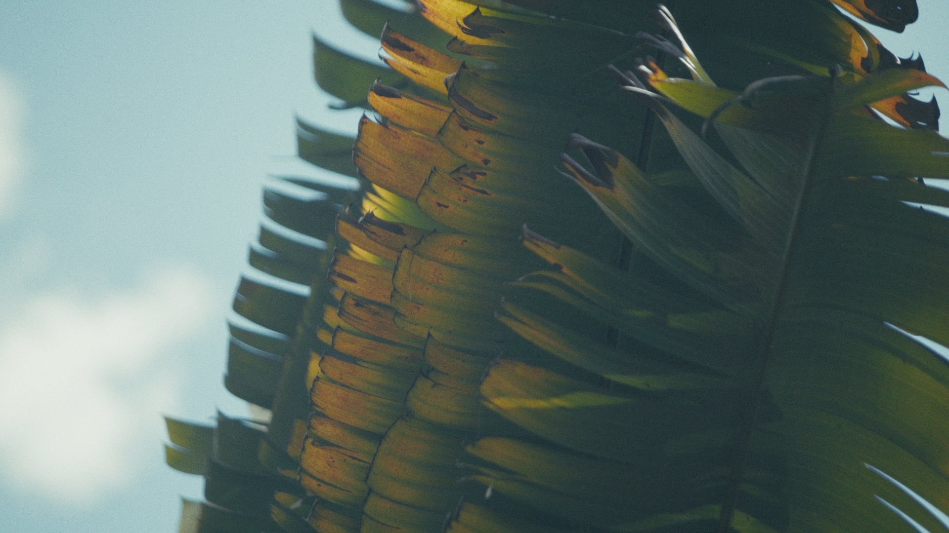 Day 01 Stringout_00_45_53_01.jpg