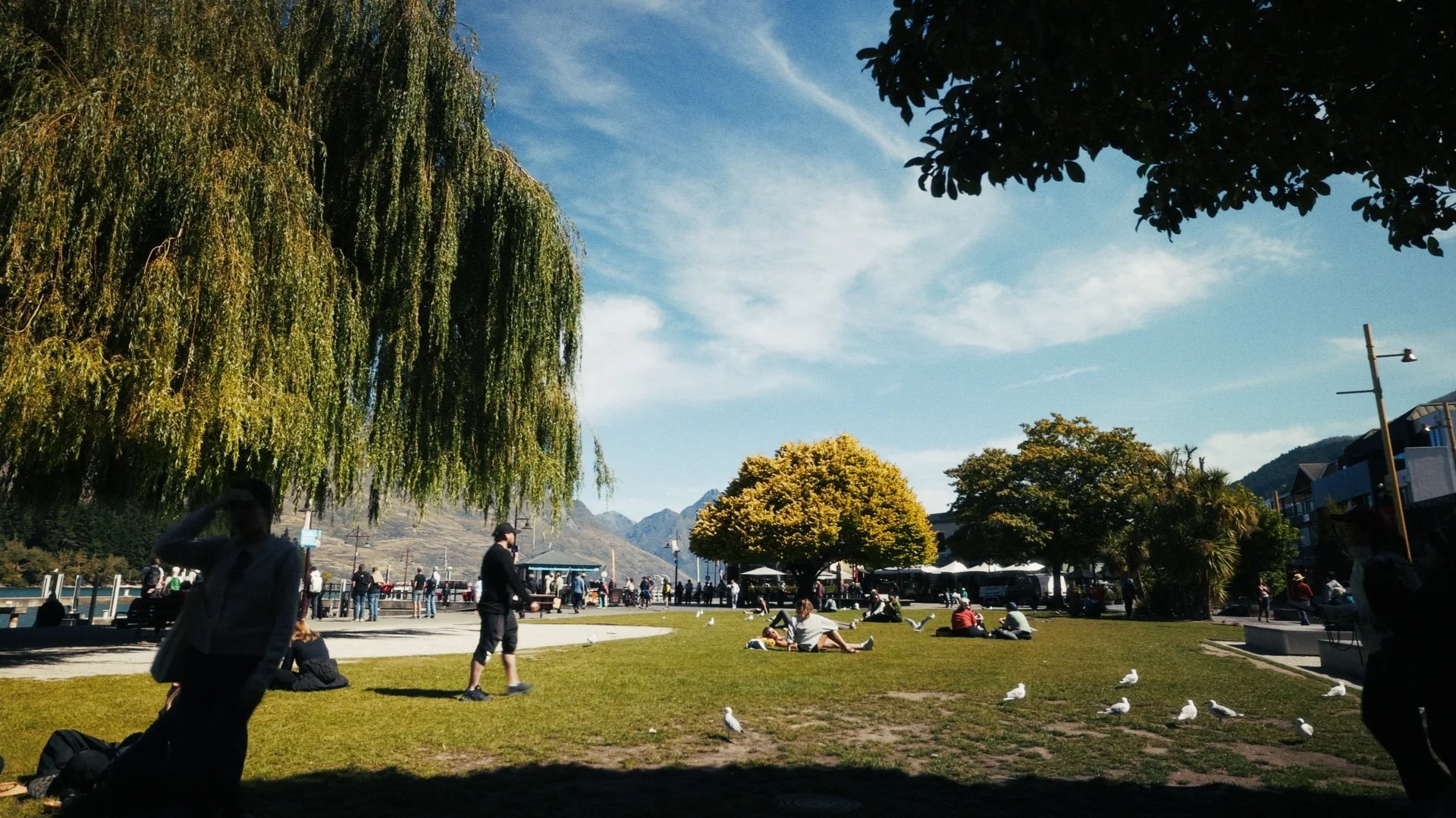 Timeline 3_00_33_35_06.jpg