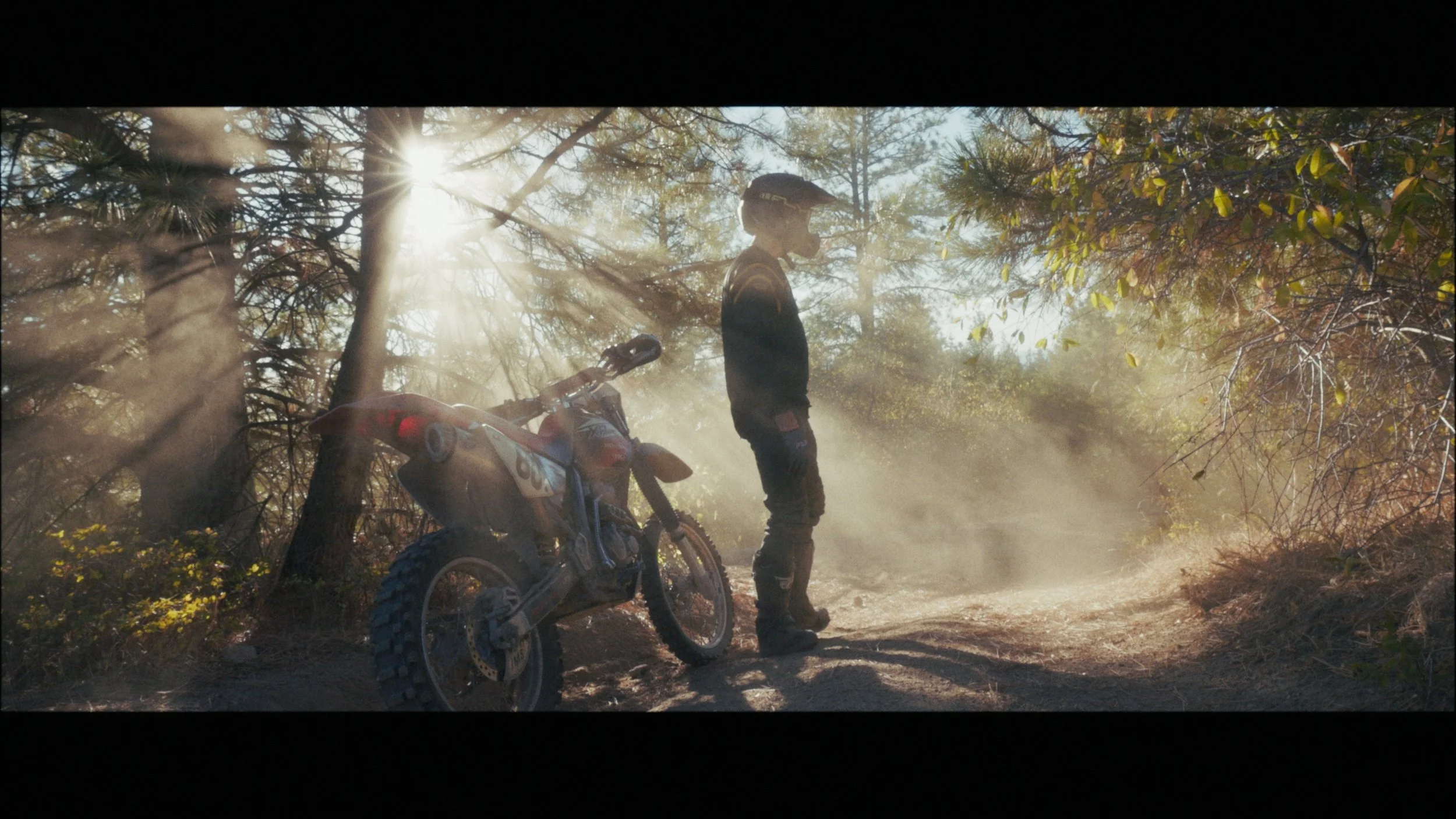 Film Supply Color_00_37_26_09.jpg