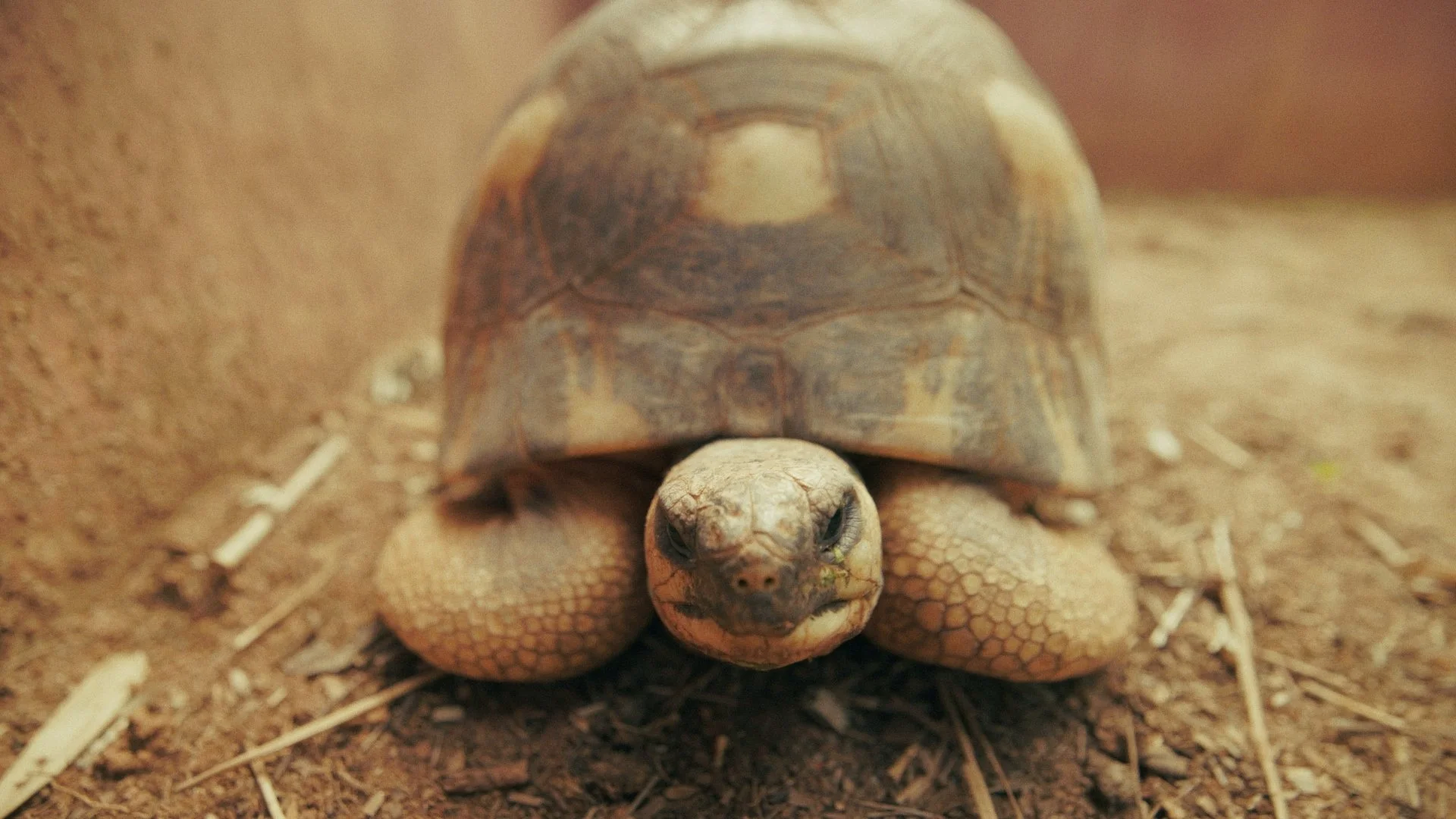 Day 01 Stringout_01_01_54_06.jpg