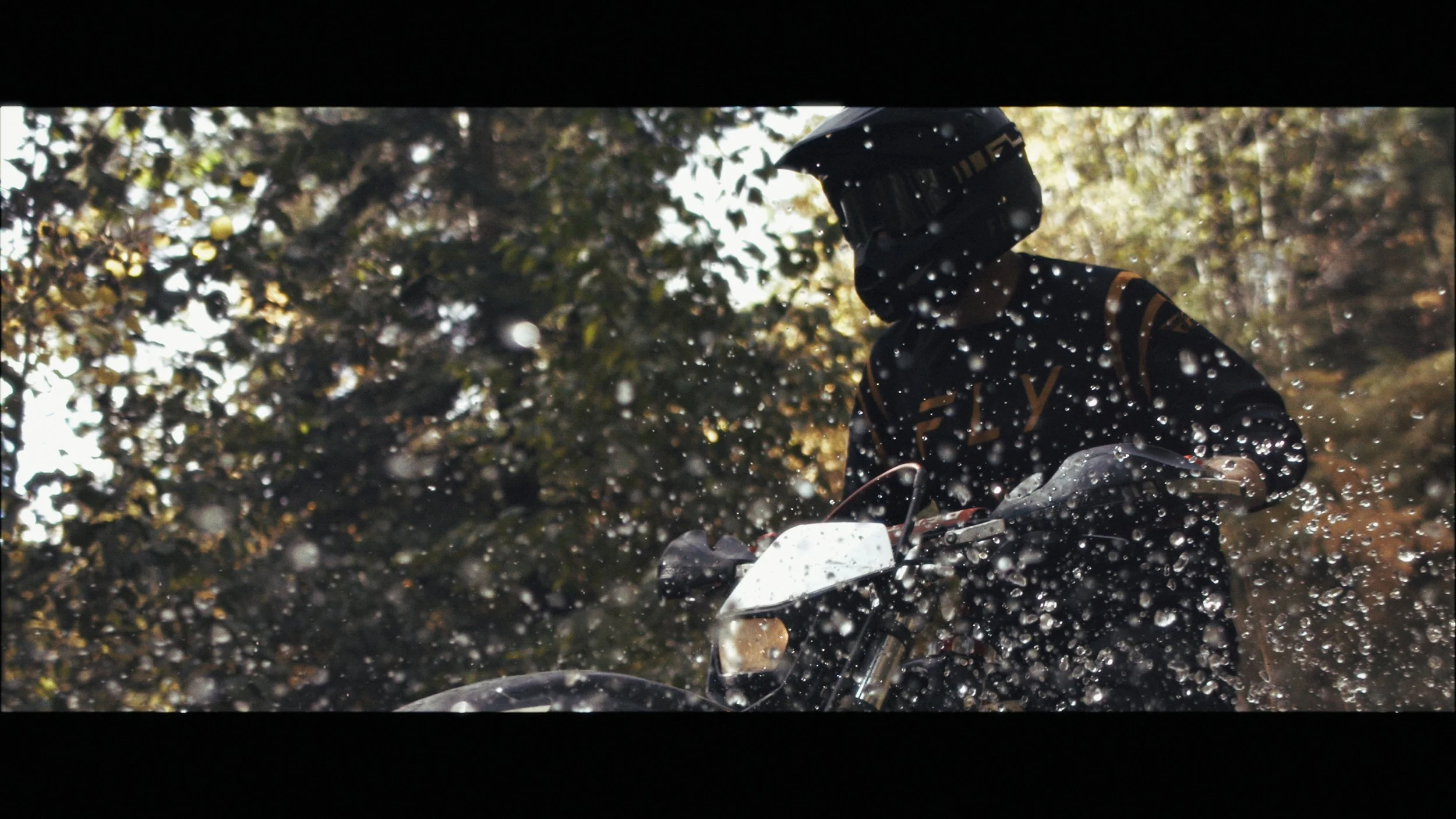 Slo Mo Stringout_00_09_29_03.jpg