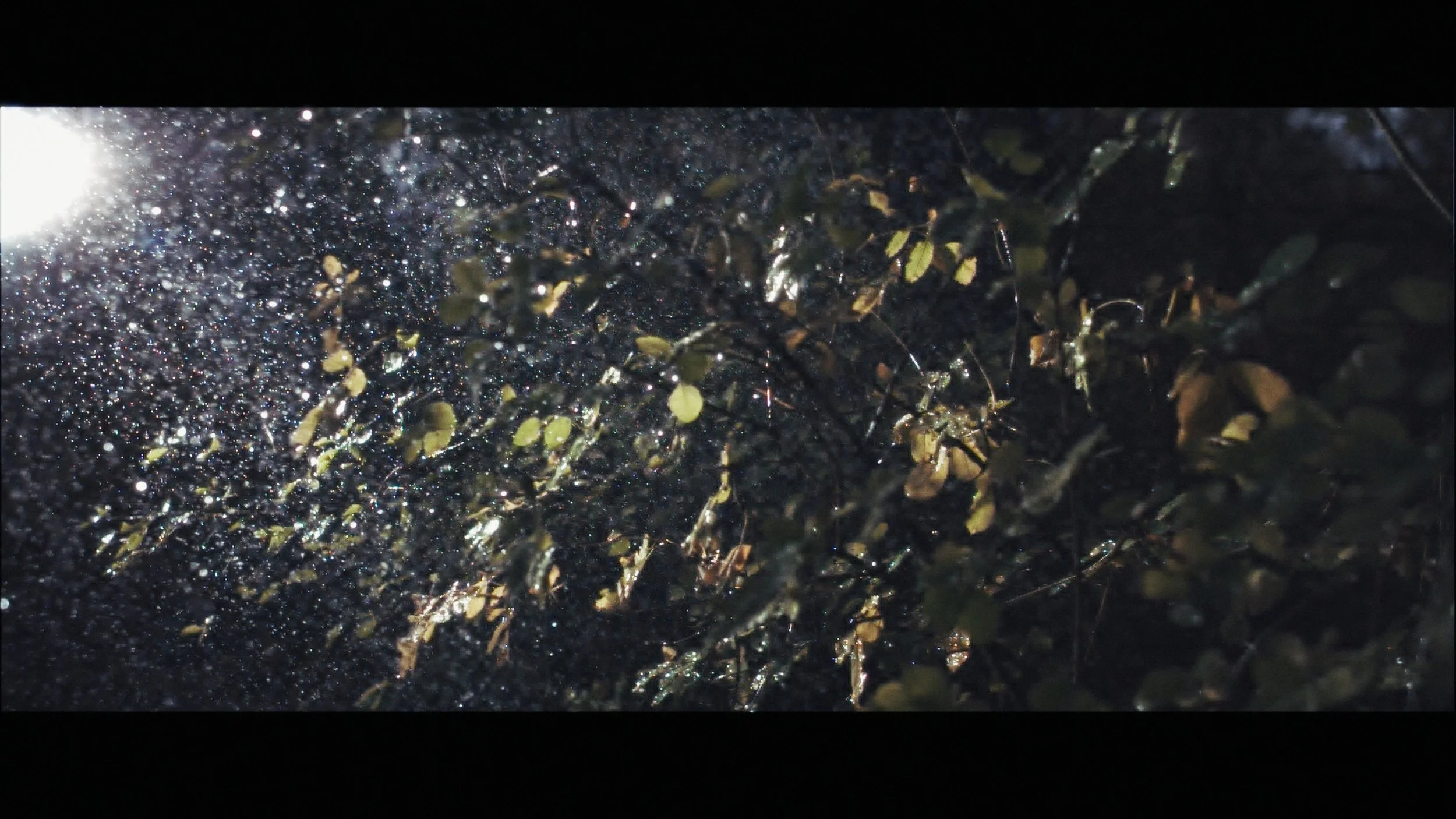 Slo Mo Stringout_00_52_14_00.jpg