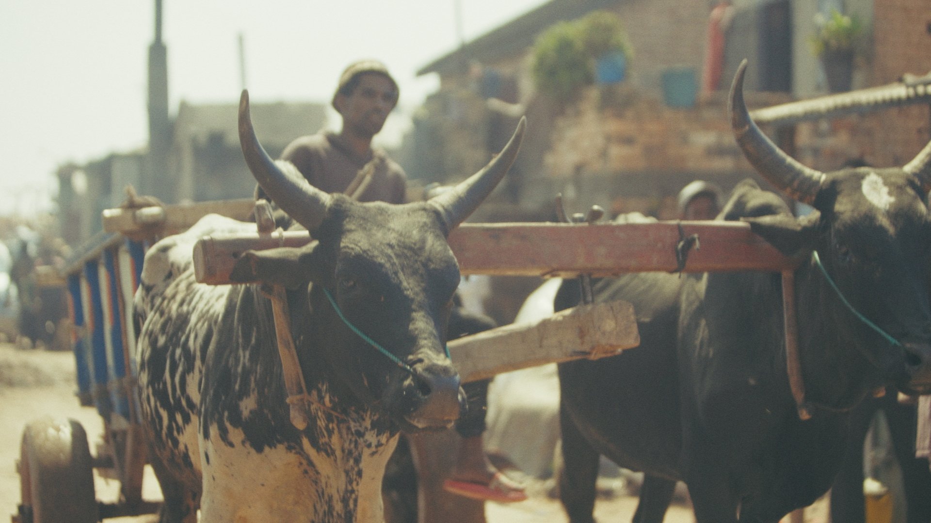 Day 01 Stringout_00_13_33_04.jpg