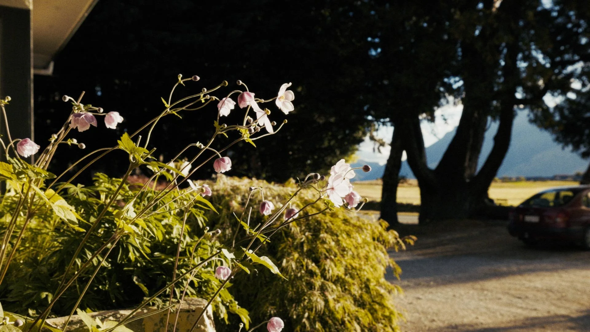 Timeline 3_00_10_46_21.jpg