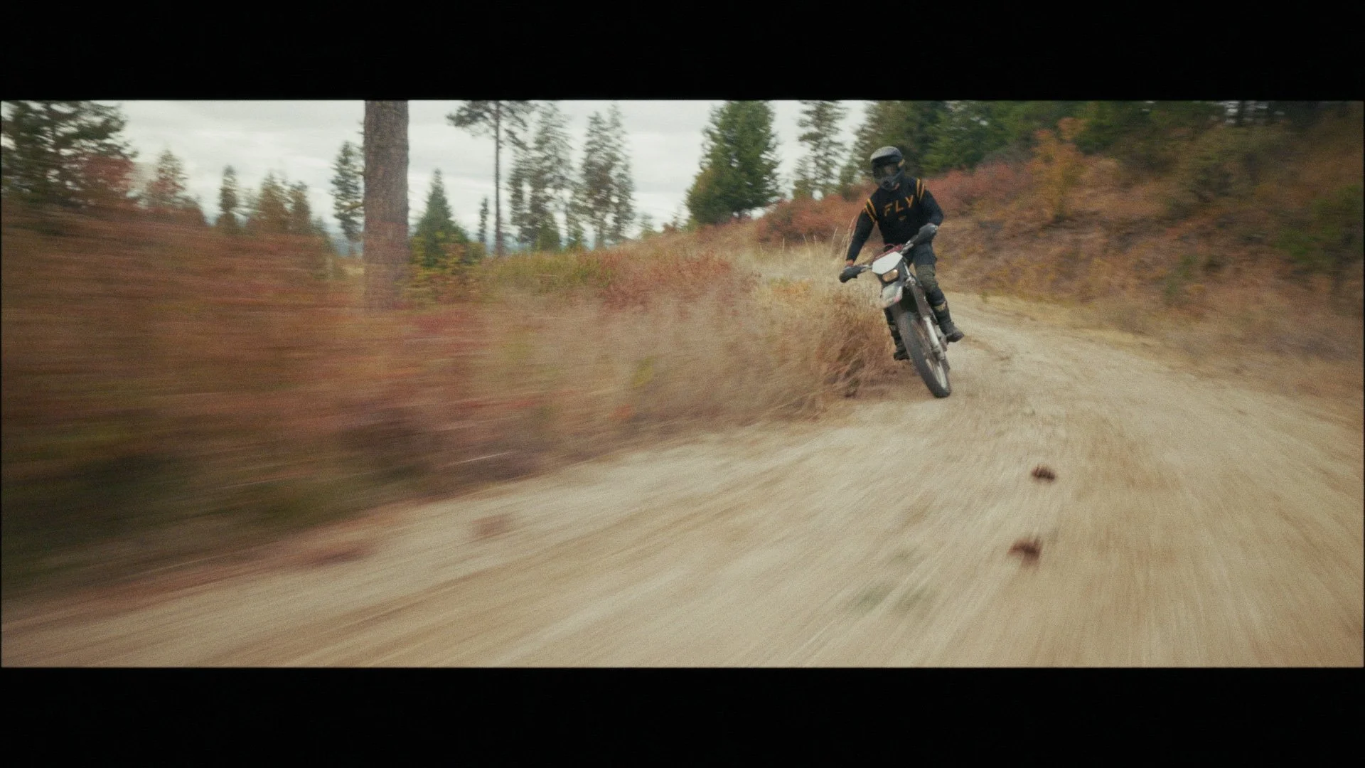 Andrew Stringout_00_04_21_07.jpg