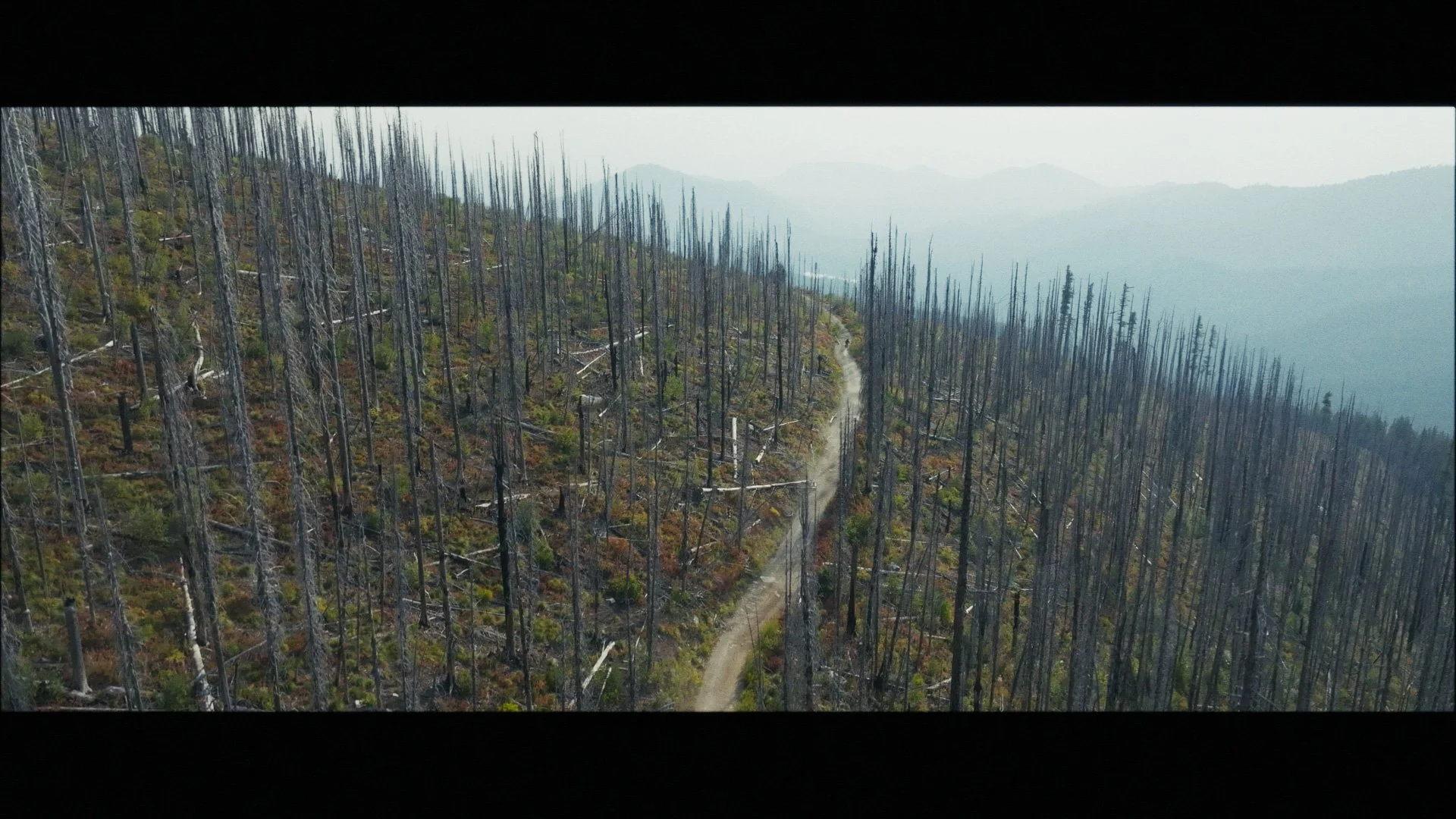 South Baldy Stringout_00_33_29_01.jpg