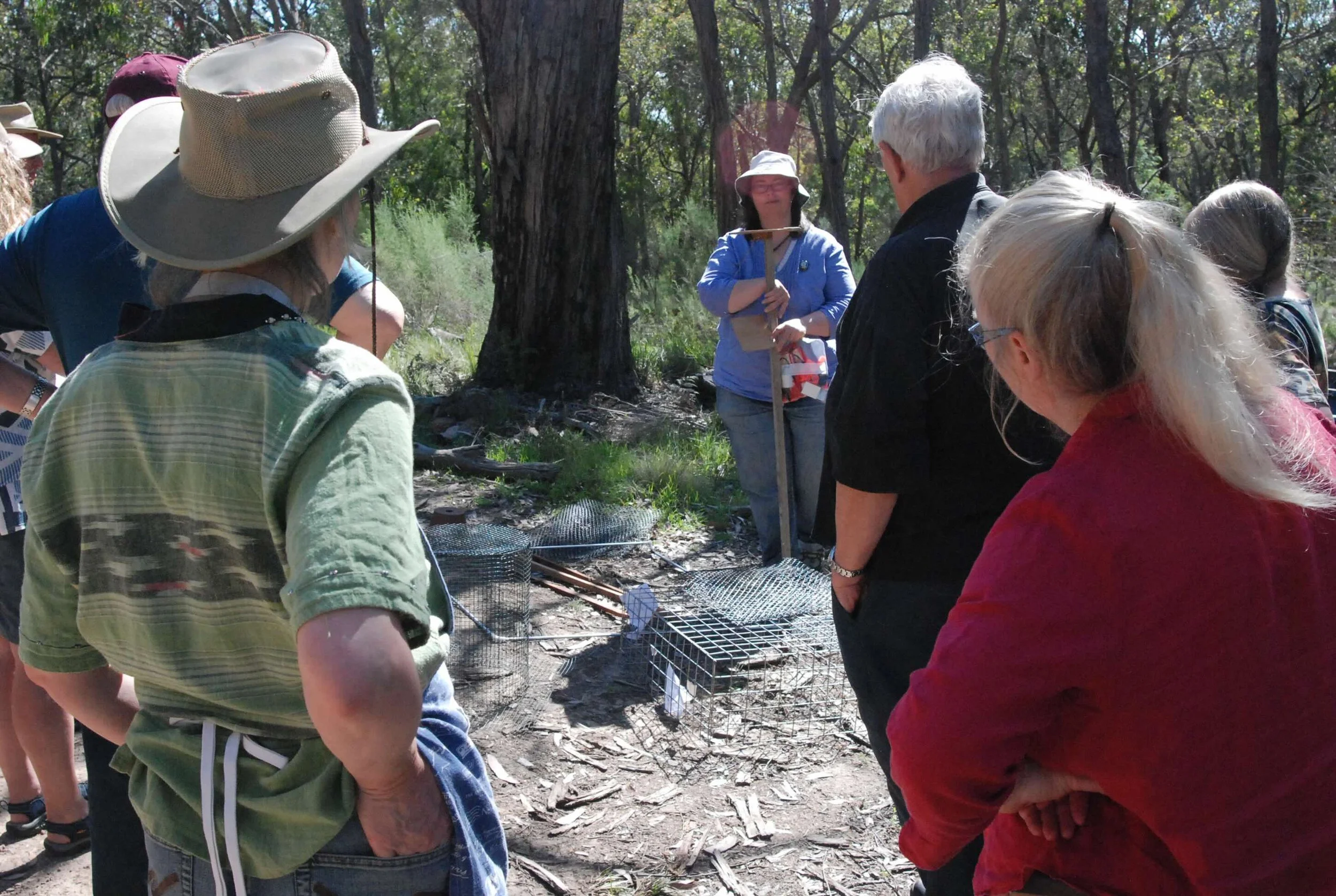 2014 Practical orchid management red 12.10.12.jpeg