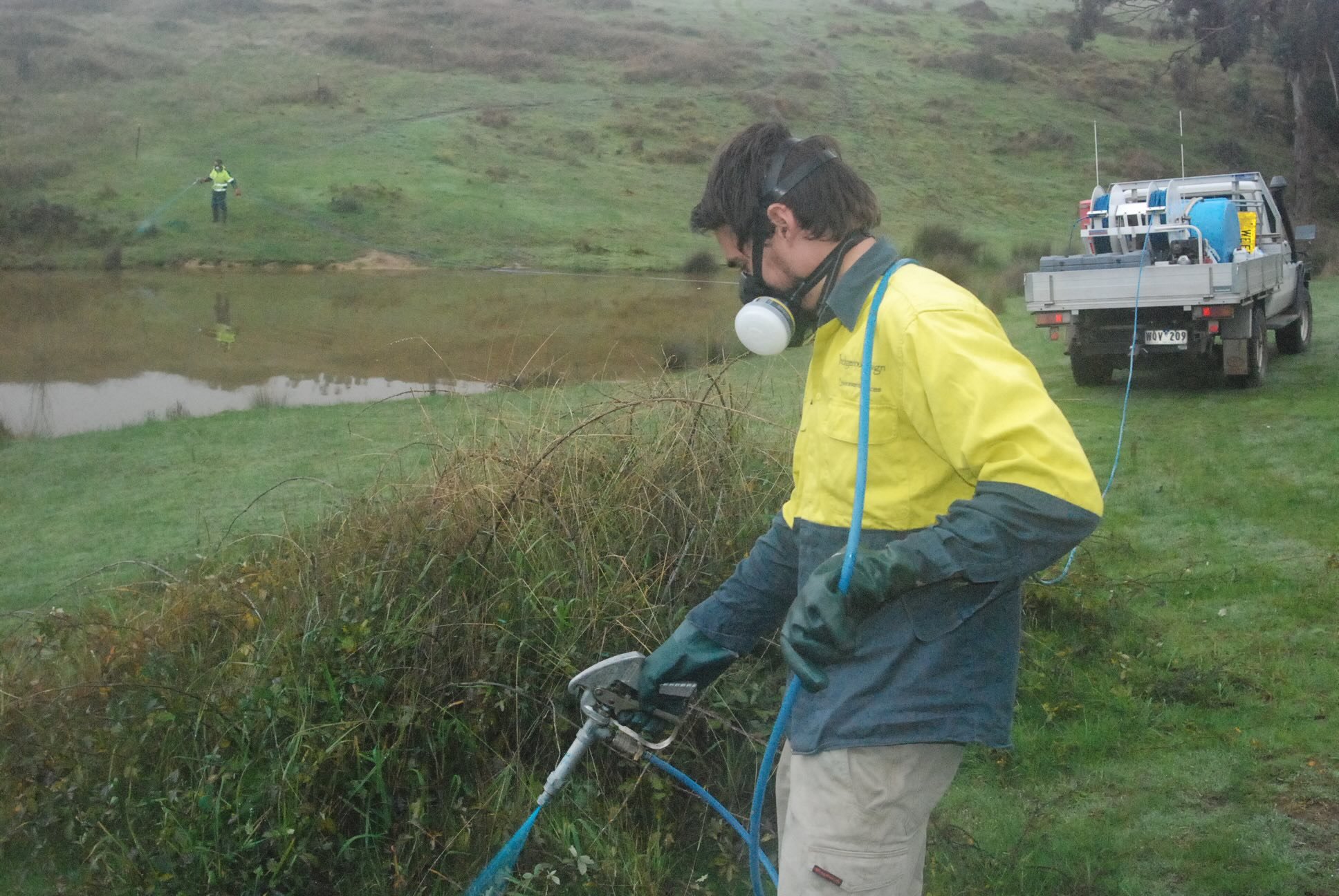 s Blackberry spraying.jpeg