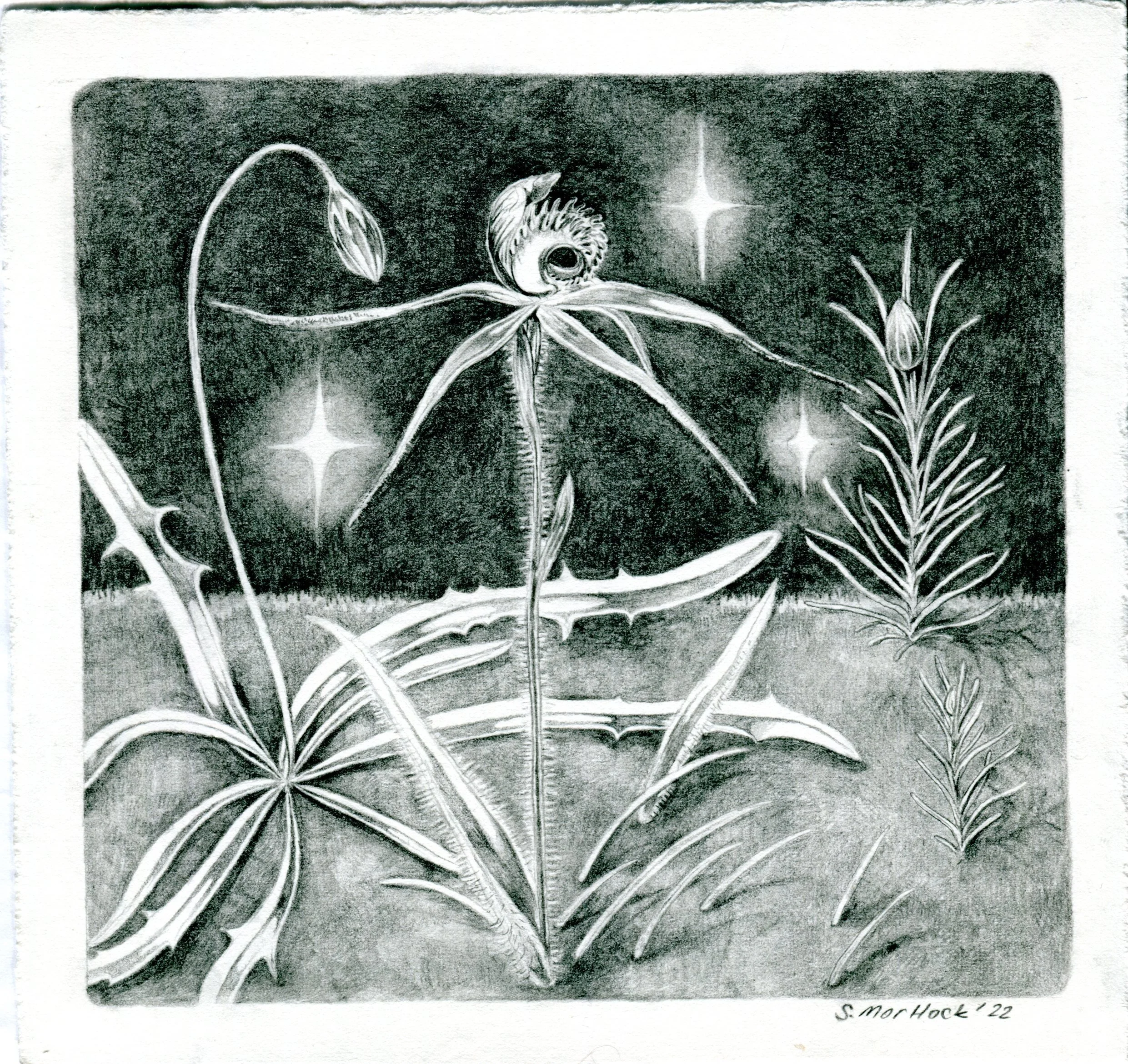 Artwork by Stephanie Mortlock
