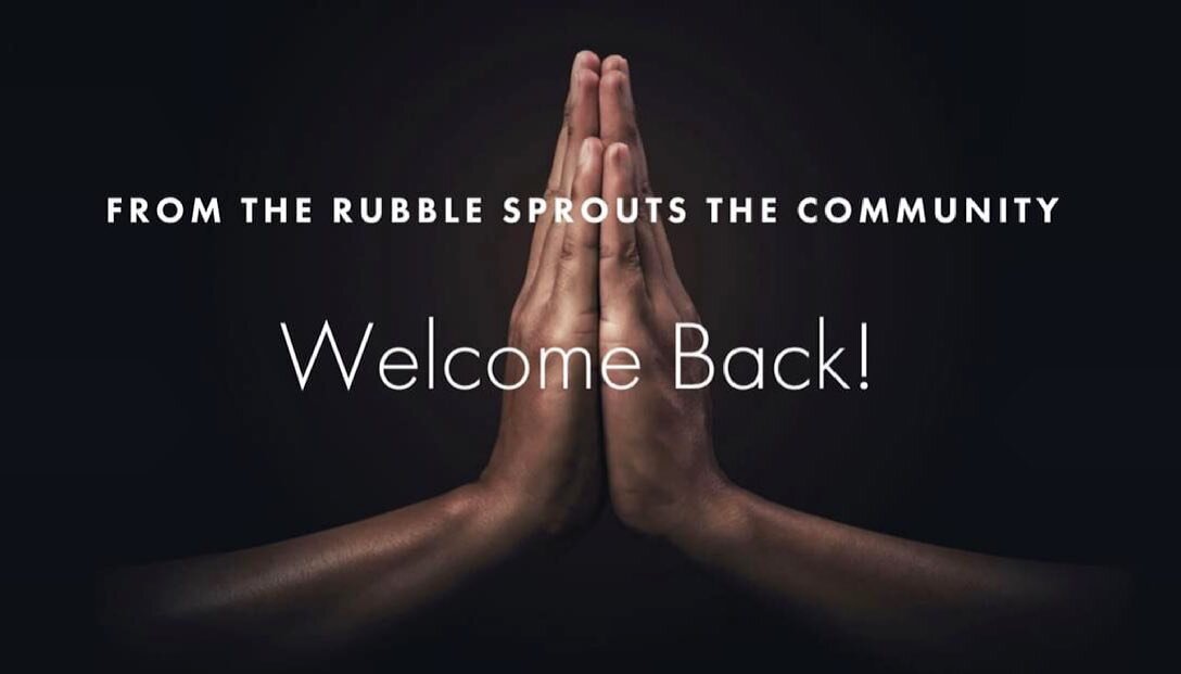 FROM THE ASHES OF DESTRUCTION, THE PHOENIX ALWAYS RISES.

We miss you! We miss our beautiful community! Let's get back together. 

Inspired by the power of community to provide space for healing and transformation, the former Yoga Tree teachers have 