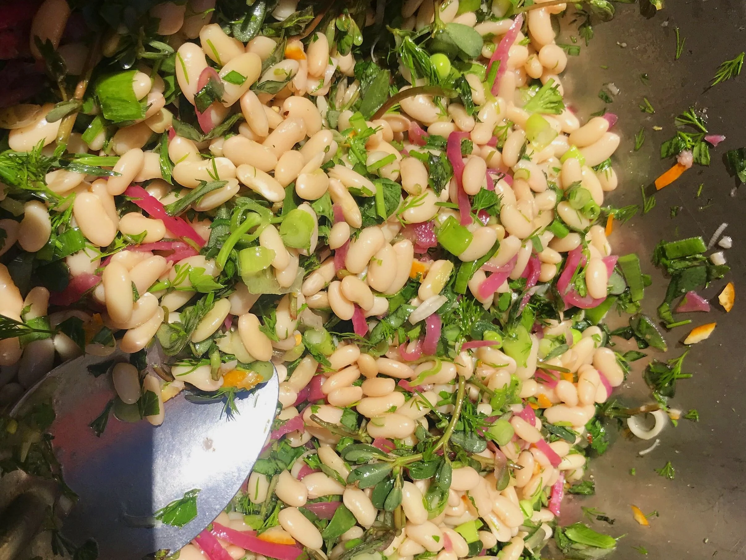 Smoked Fava &amp; cannelloni bean salad, meyer lemon, purslane, pickled onions, herbs, fennel pollen dressing.