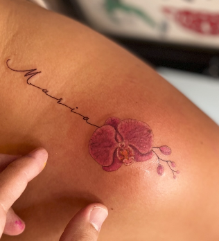 Screenshot 2026-02-07 155122.png