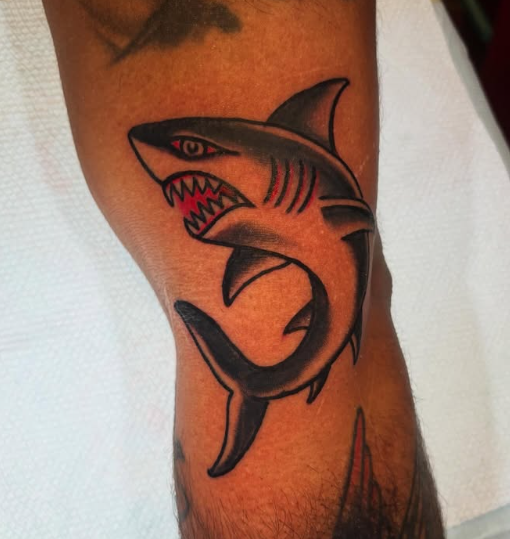American Traditional shark tattoo by Josh at Electric Street Tattoo, Fort Lauderdale