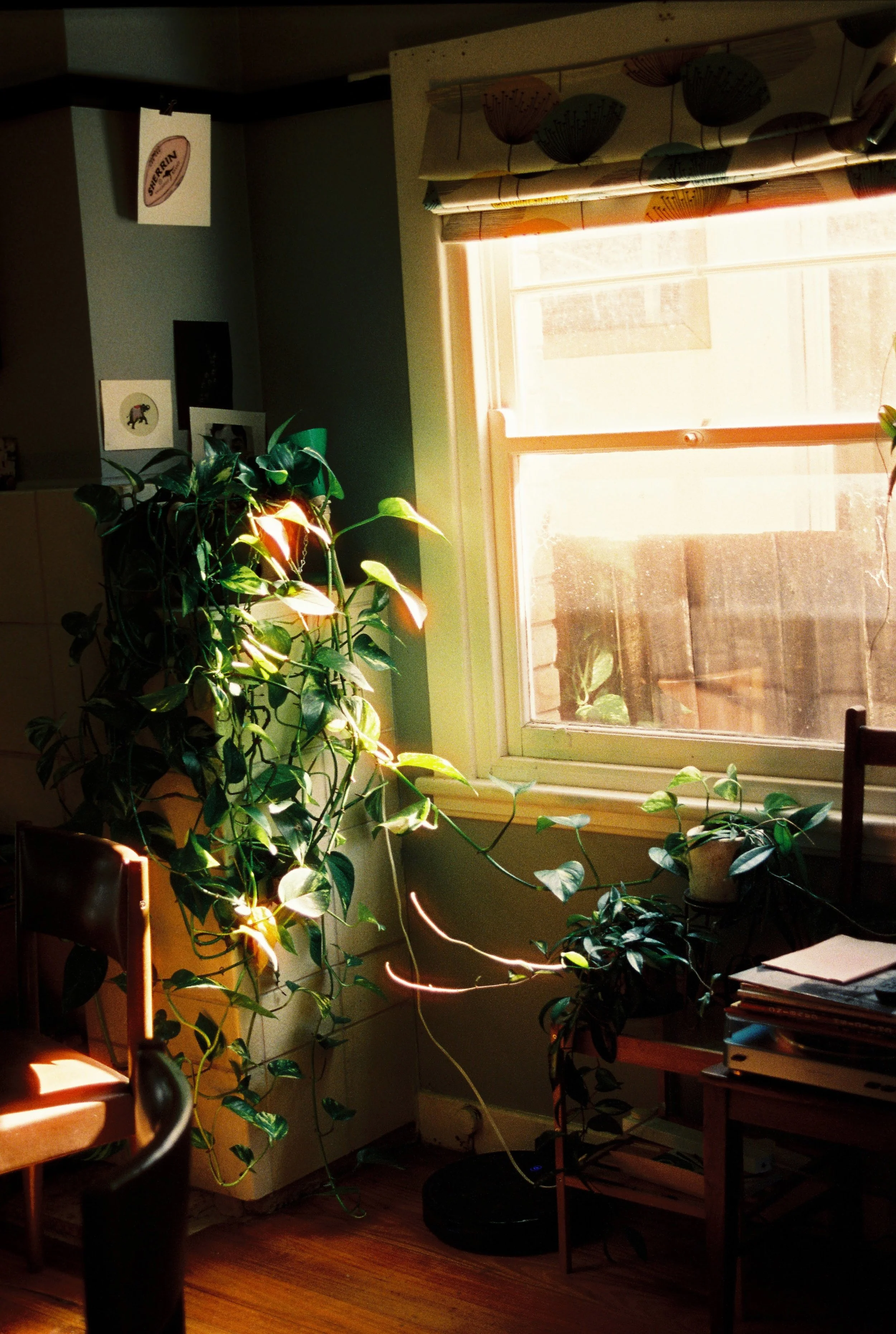 Peach House Writeup