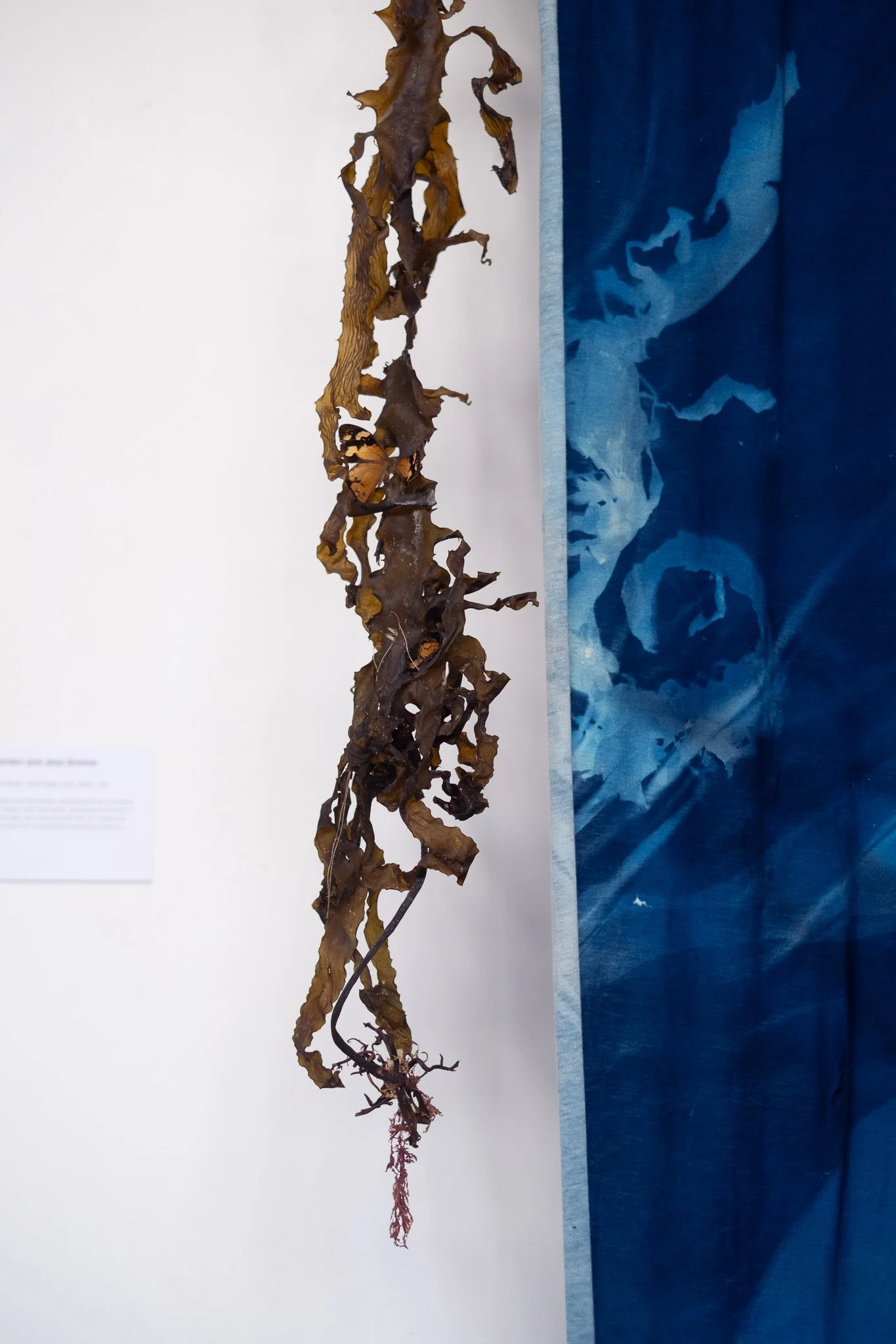 exhibitionimg-webimg24.jpg