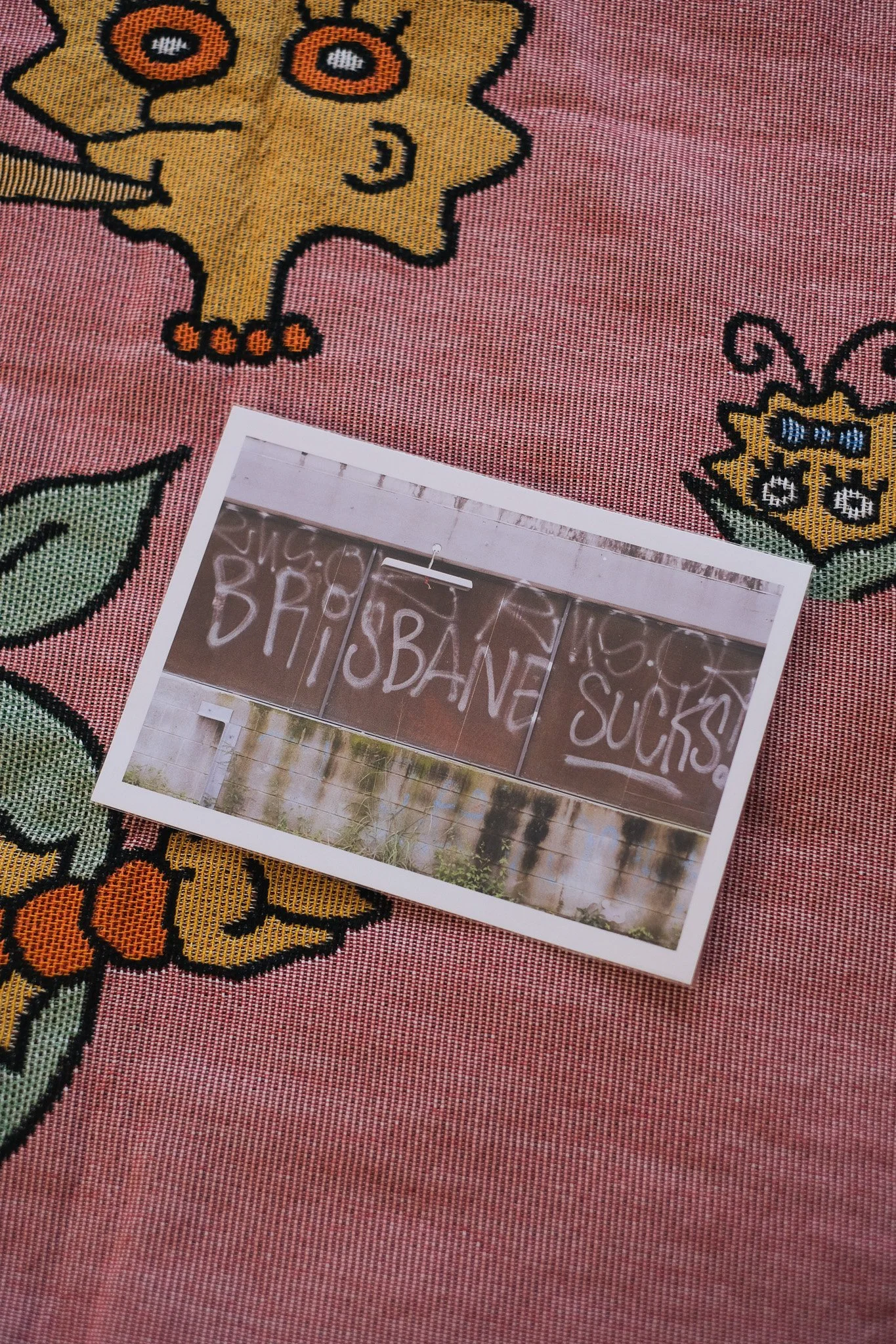 DSCF1513.jpg