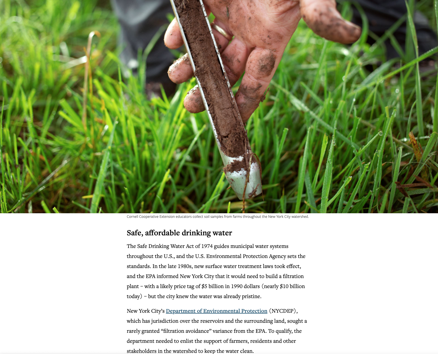 Screen Shot 2021-03-21 at 9.26.16 PM.png