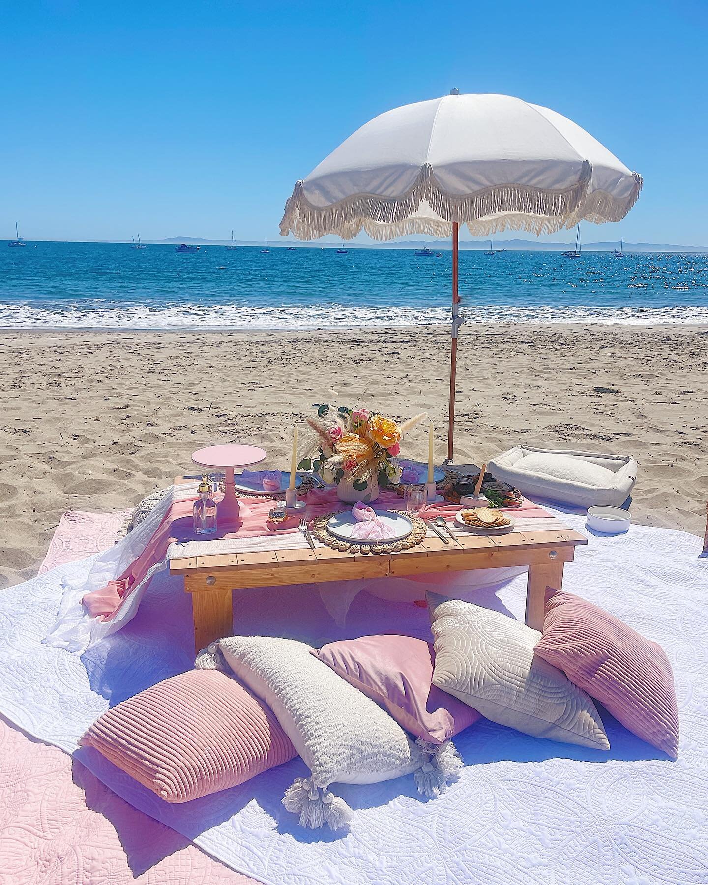 An afternoon under the sun for one, two, three and don&rsquo;t forget four 🐶🌸✨
.
.
.
#picoftheday #picnic #picnicaesthetic #pink #pup #dog #dogsofinstagram #furbaby #happy #beach #sun #santabarbara