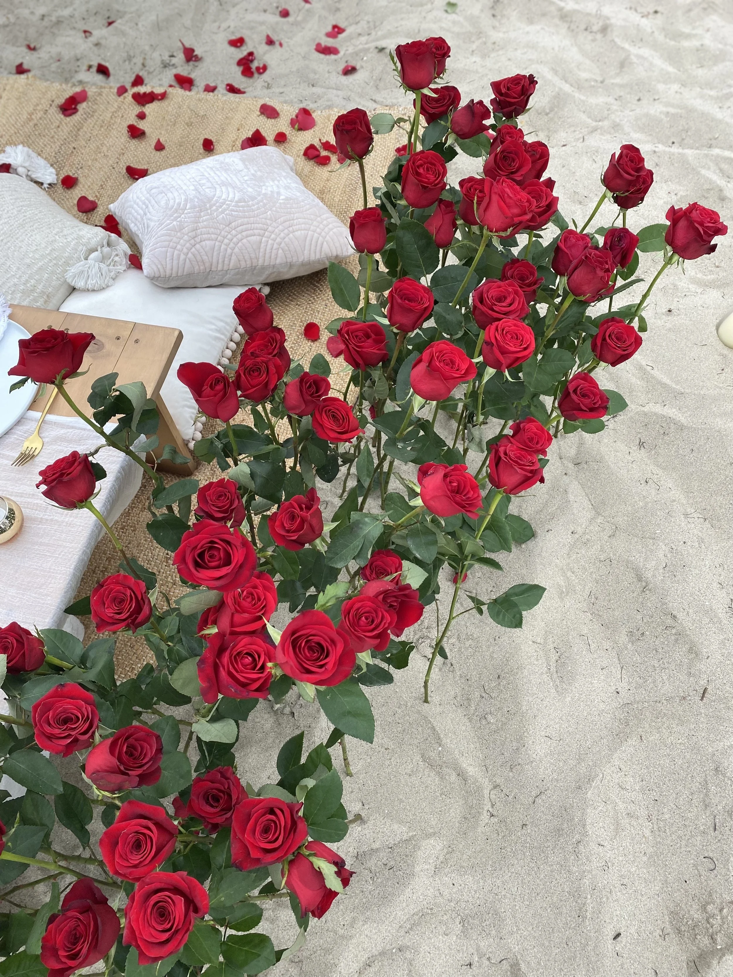 Red Rose Details.jpg