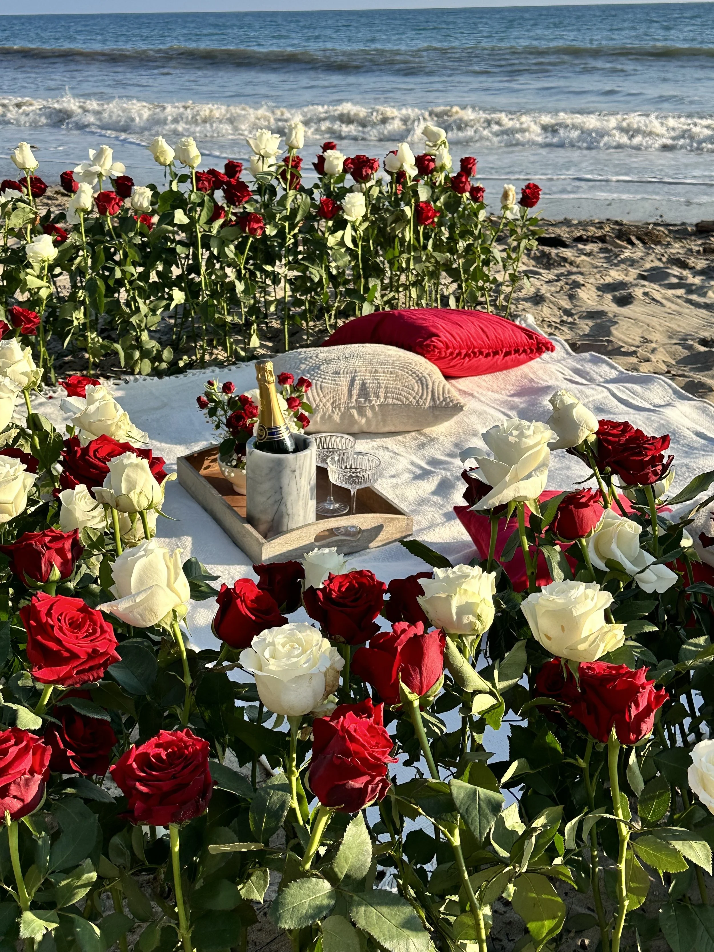 Rose Red & White Picnic.jpg