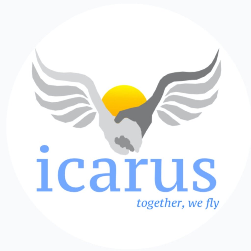 Icarus Research Group