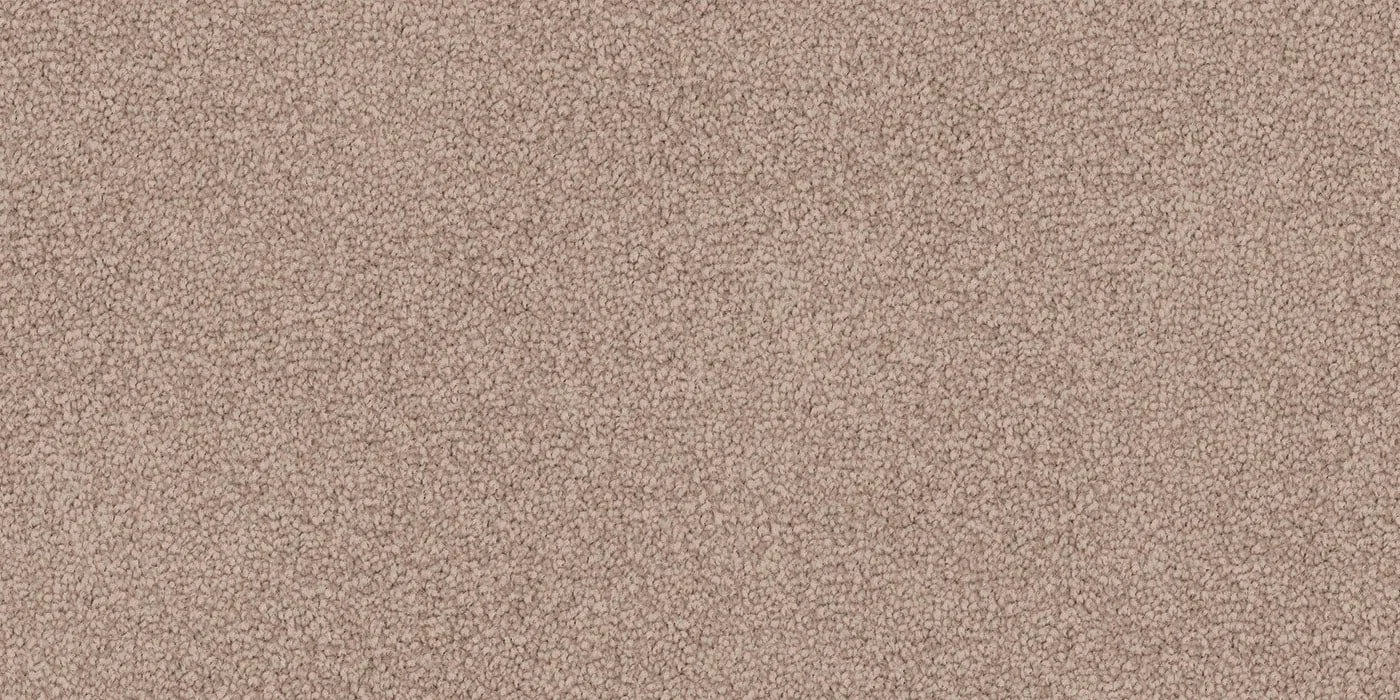 Stone Beige.jpeg