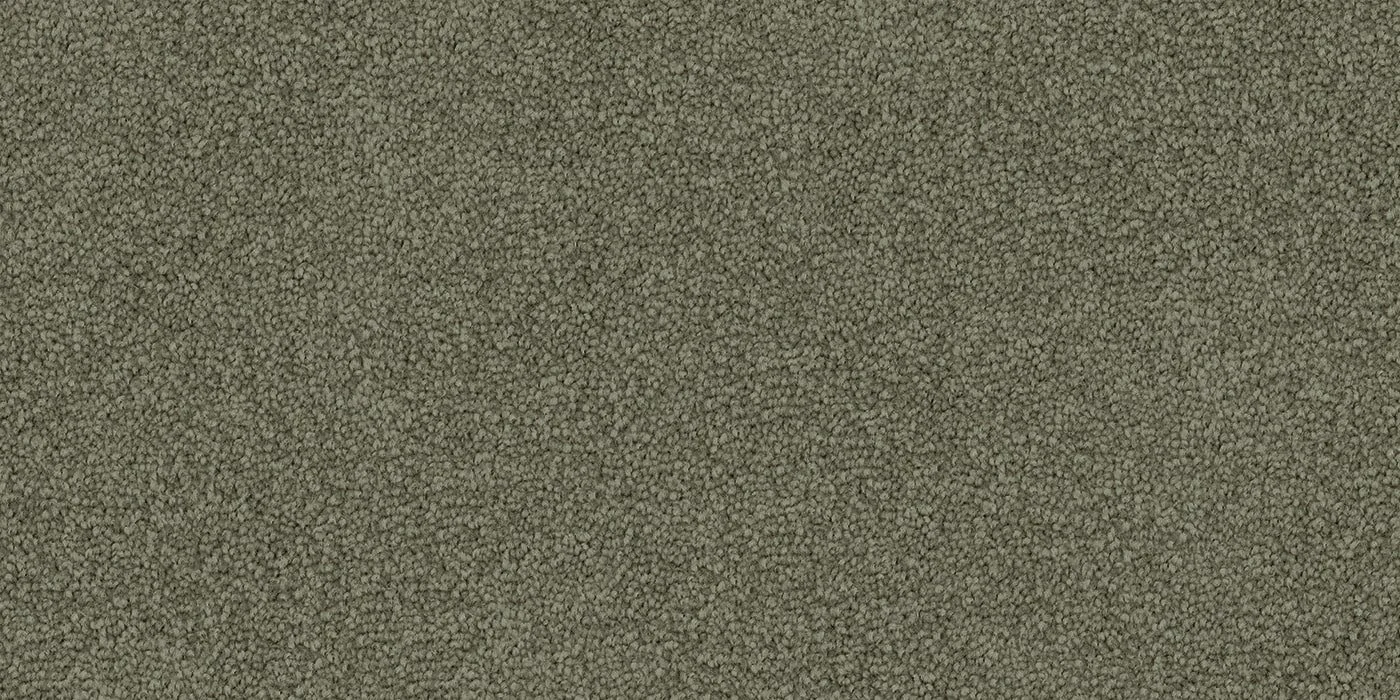 Spring Meadow.jpeg