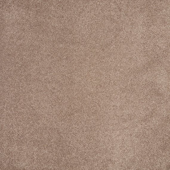 p_Carpet-Comfort-Luxstep-Felicity-Joyful-40.jpeg
