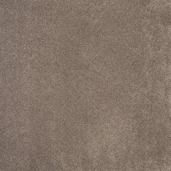 p_Carpet-Comfort-Luxstep-Felicity-Exhilaration-49.jpeg