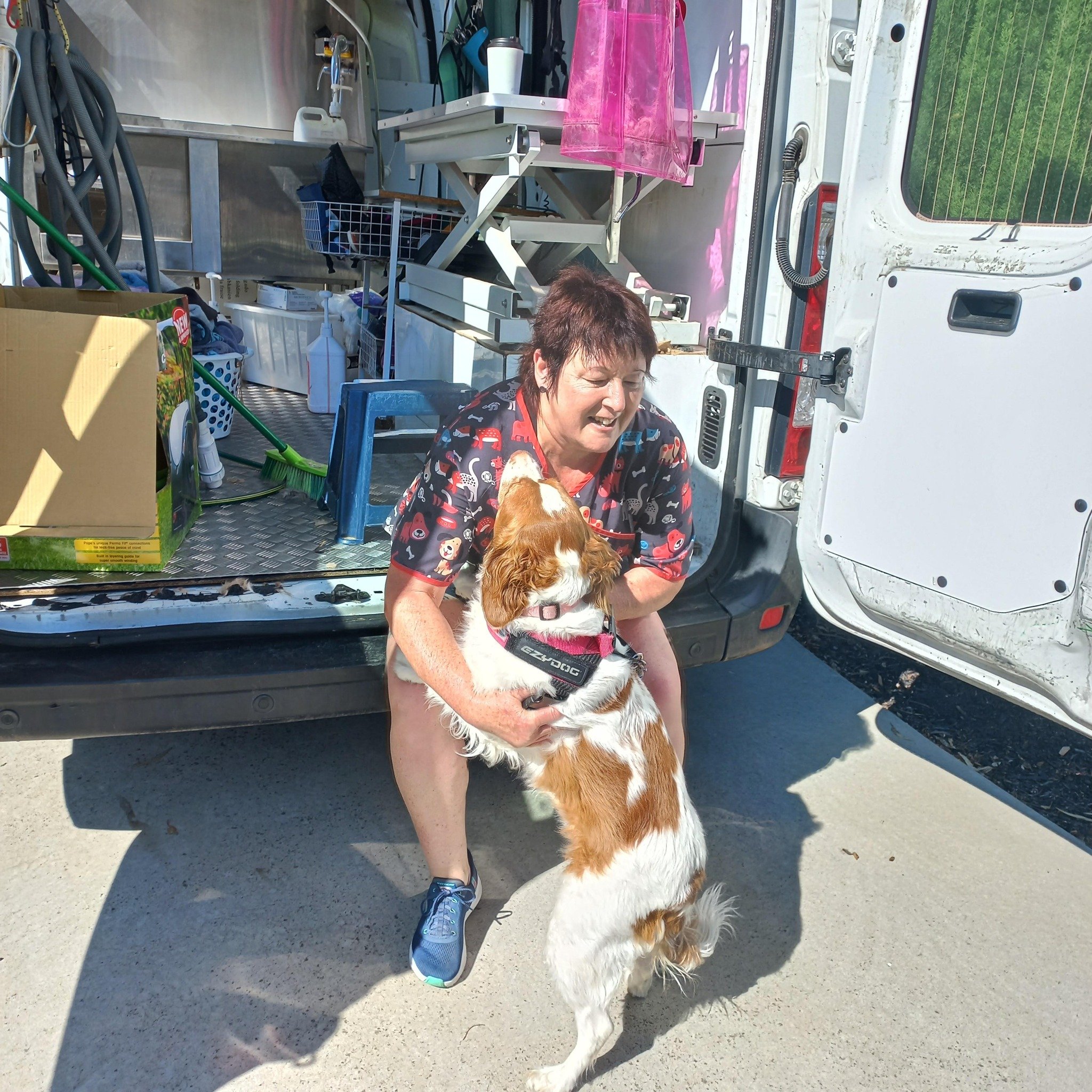 When Molly isn't working hard on a modelling shoot or greeting customers at one of our stores, she loves a spa day! She took advantage of the beautiful weather to have a pampering session with Belinda from Fresh Paws Bendigo. 

Belinda treated Molly 