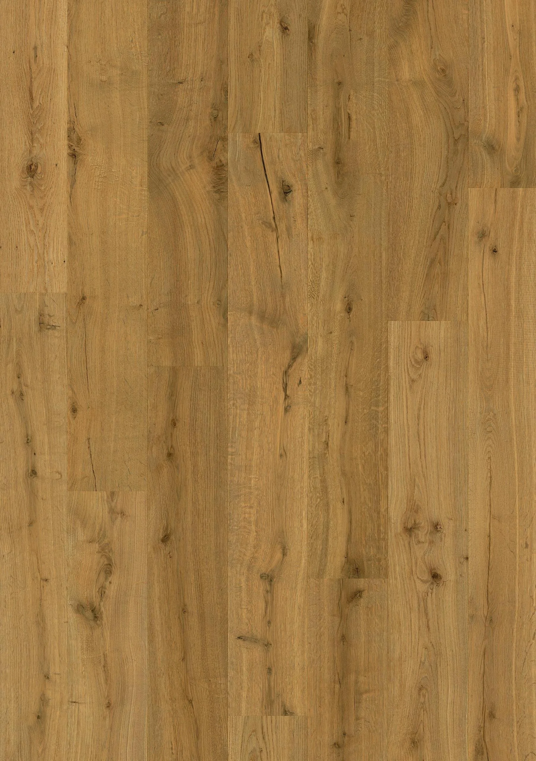 Truffle oak .jpg