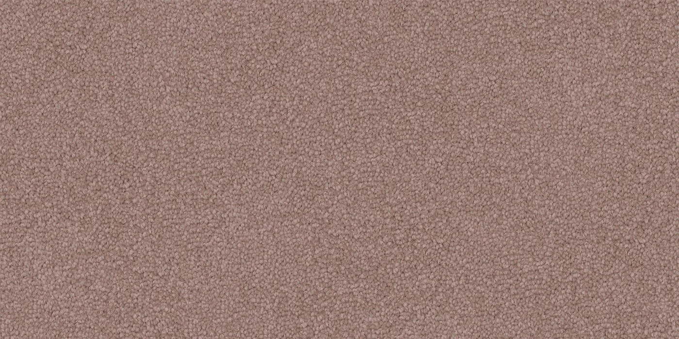 Fawn Pink.jpeg