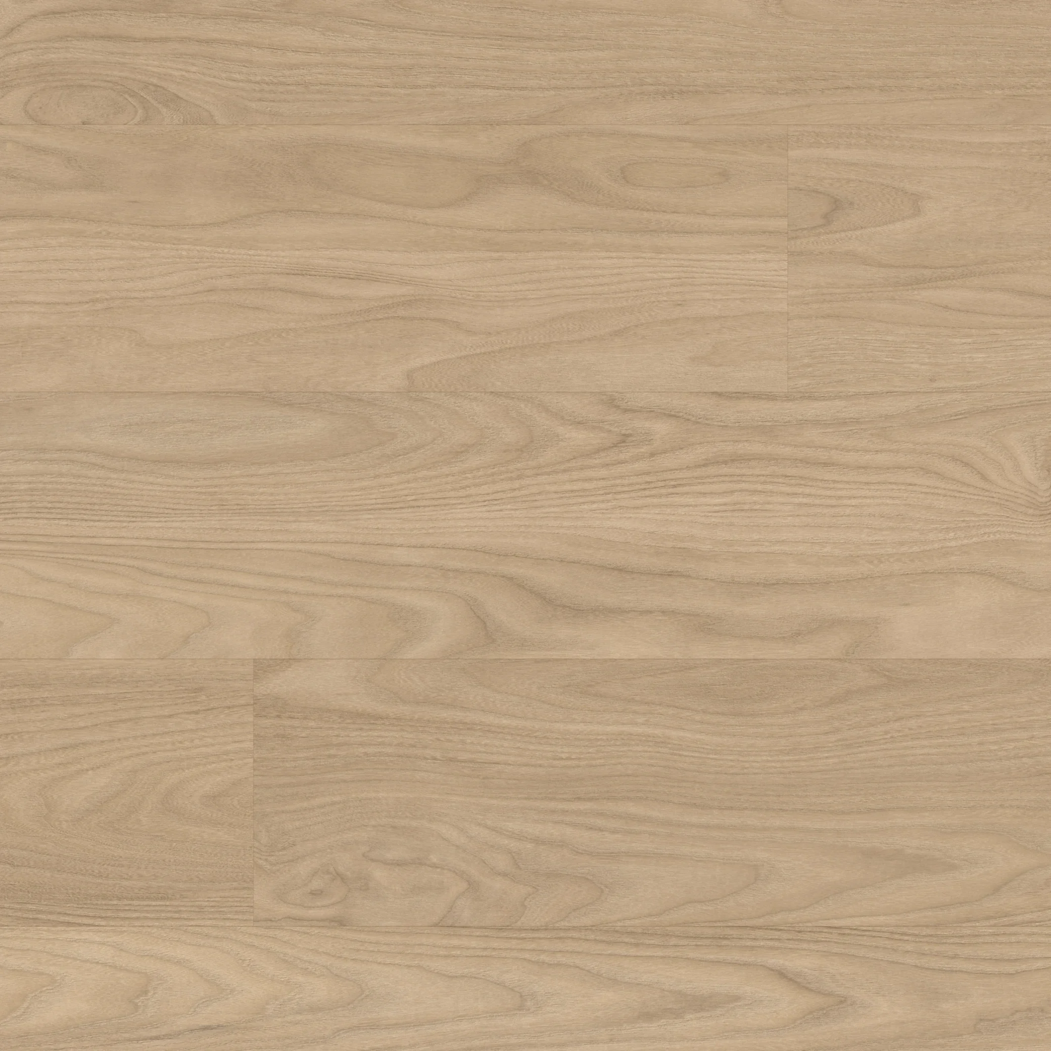 Pale Swiss Elm.webp