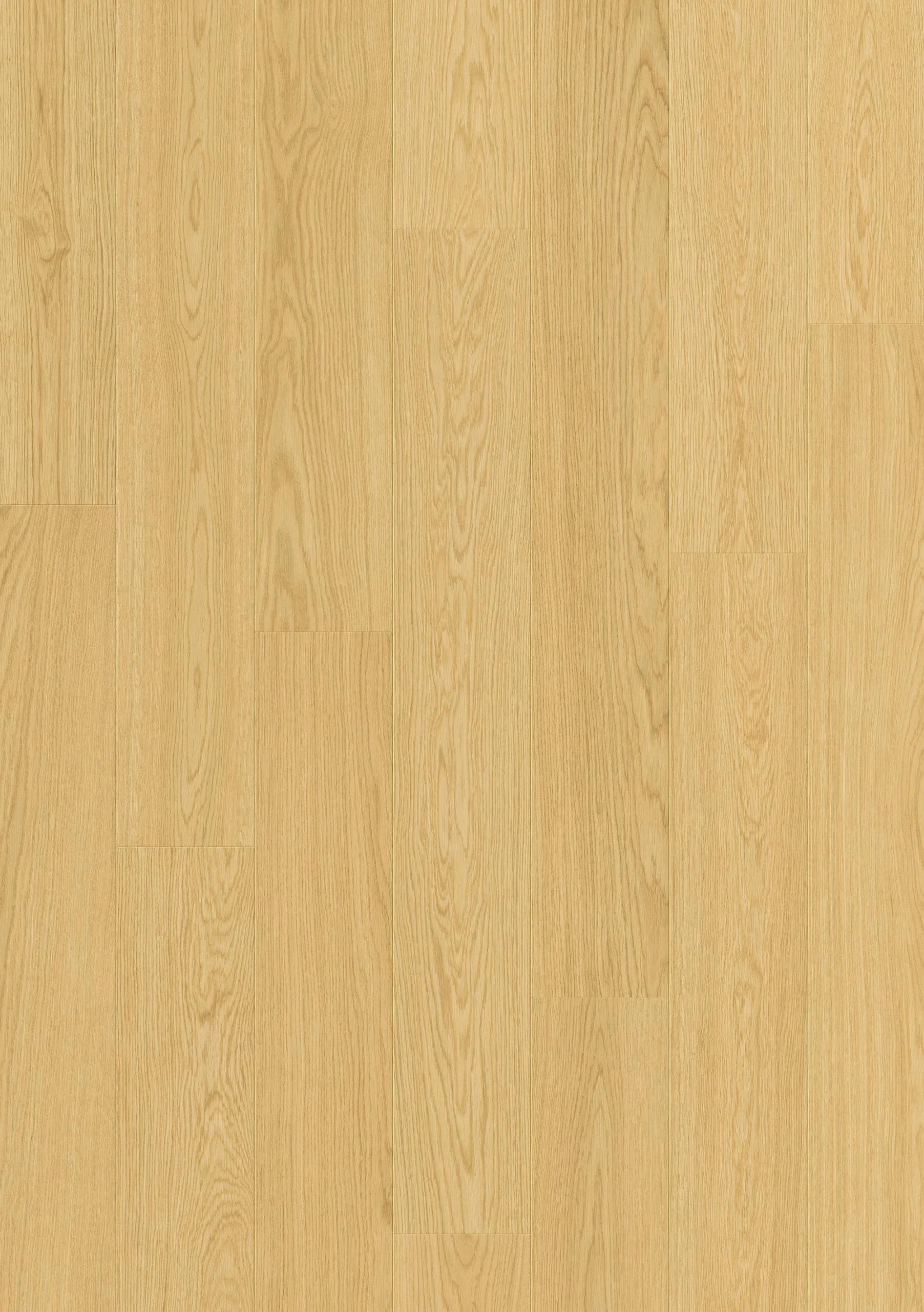 Dune oak .jpg