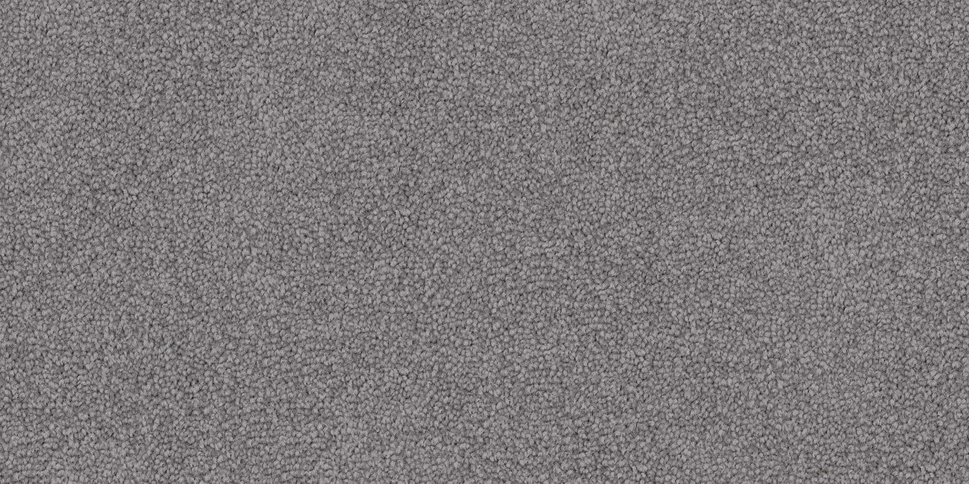 Silver Frost.jpeg