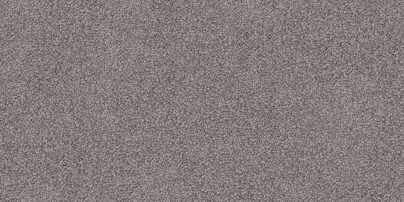 Frosted Pine.jpeg
