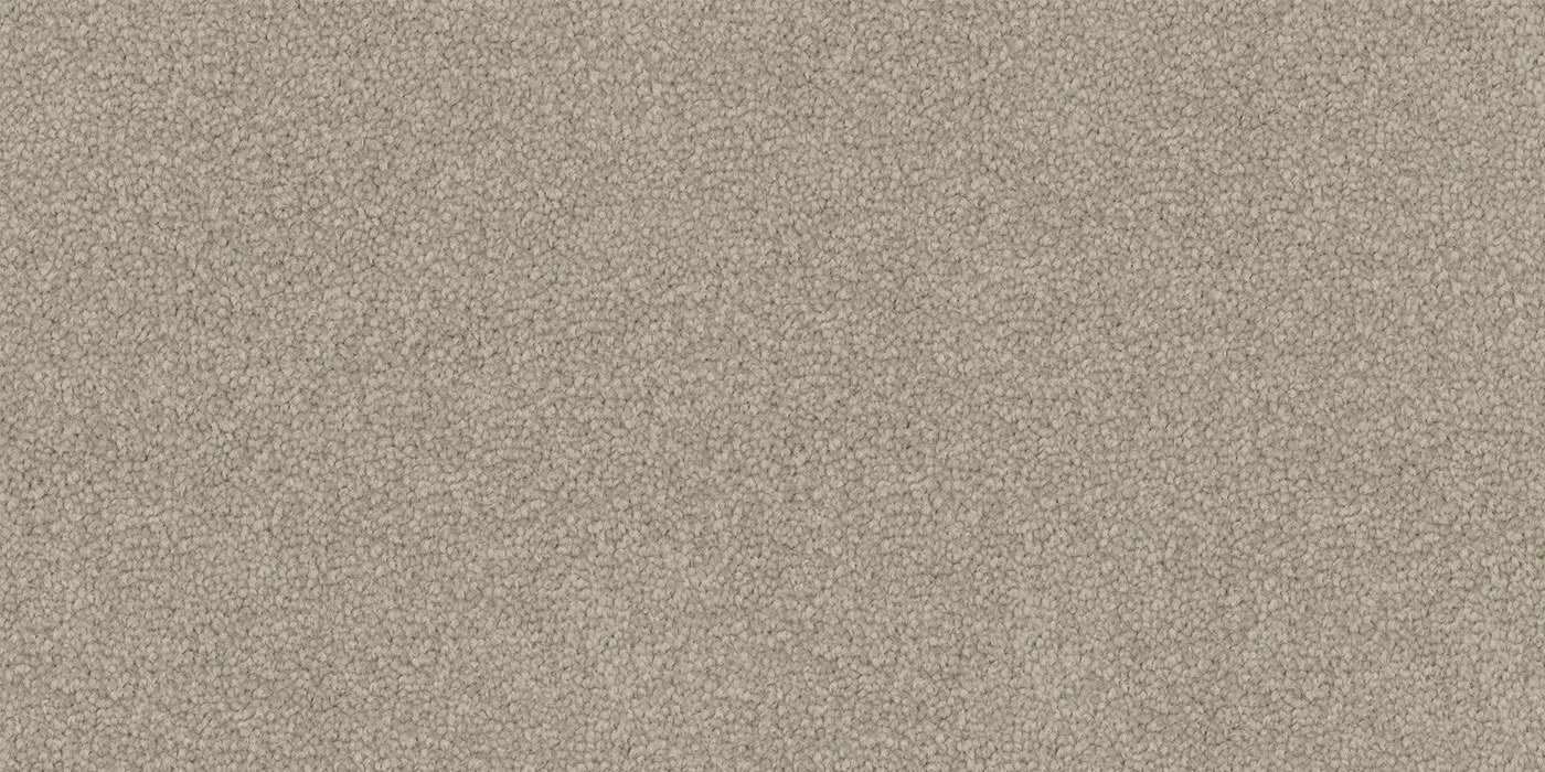 Aged Suede.jpeg