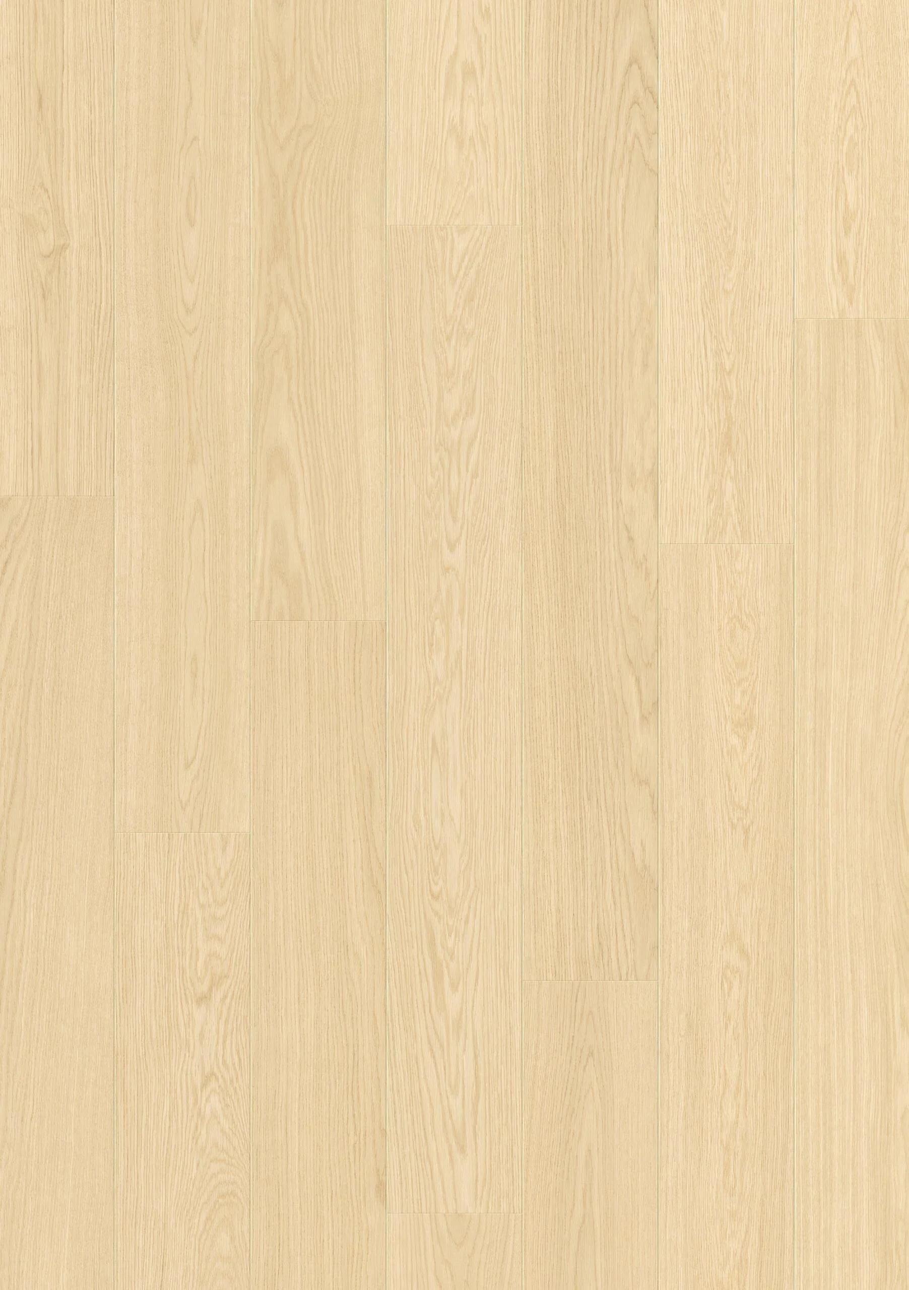 Ivory oak .jpg