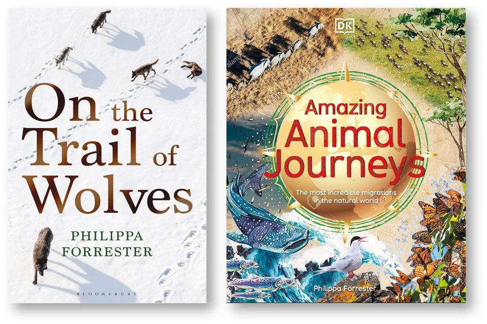 philippa-forester-bath-literary-agency