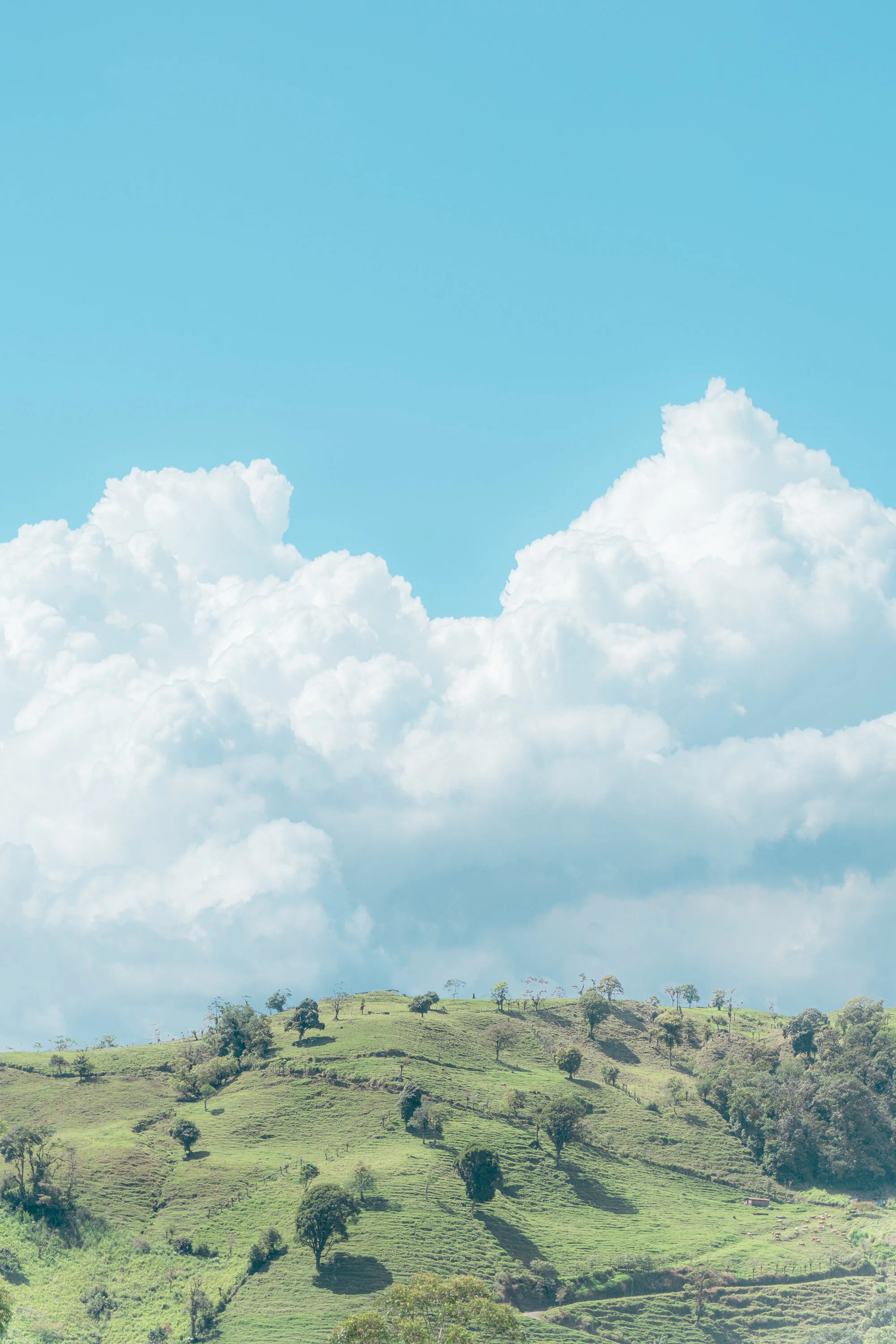 landscape-15.jpg
