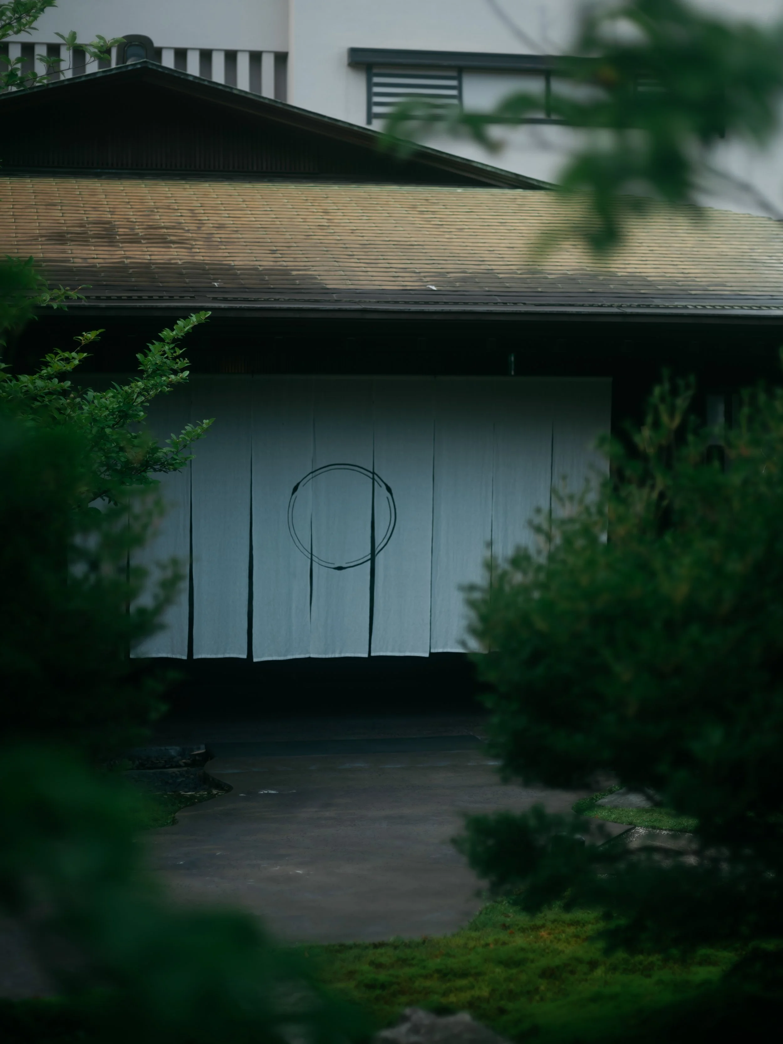 DSCF7381.jpg