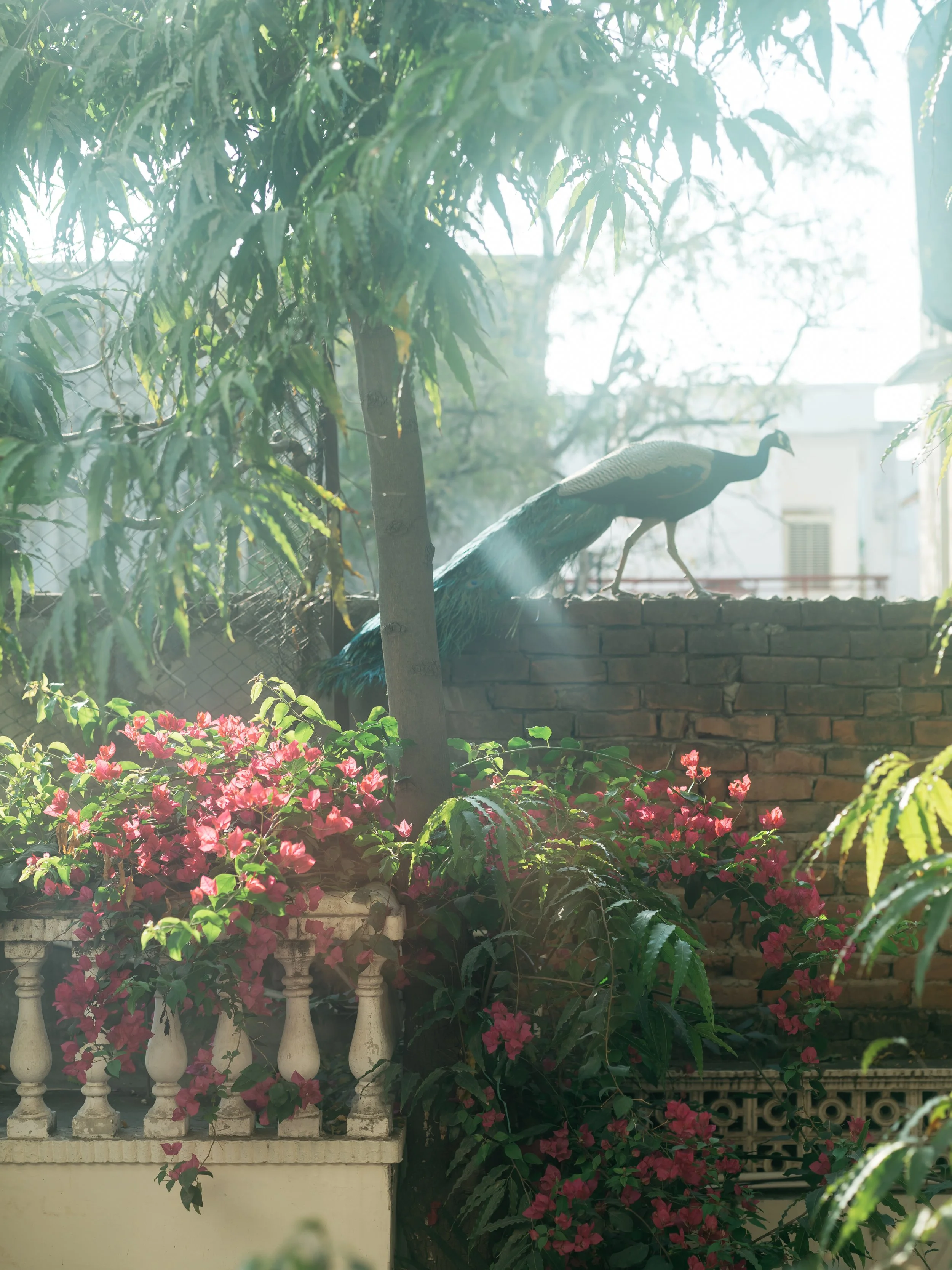 DSCF5158.jpg