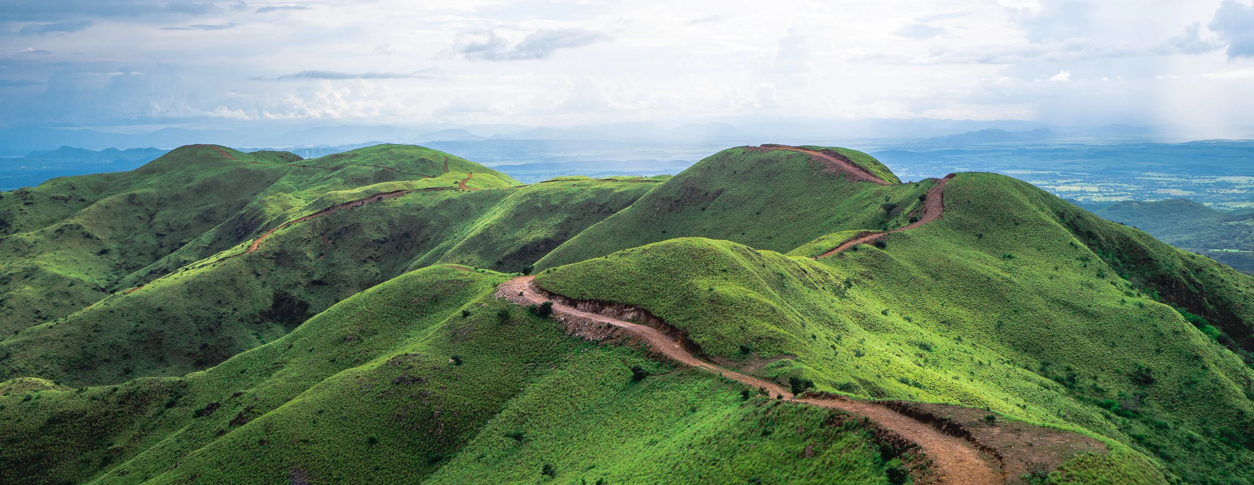 landscape-02.jpg