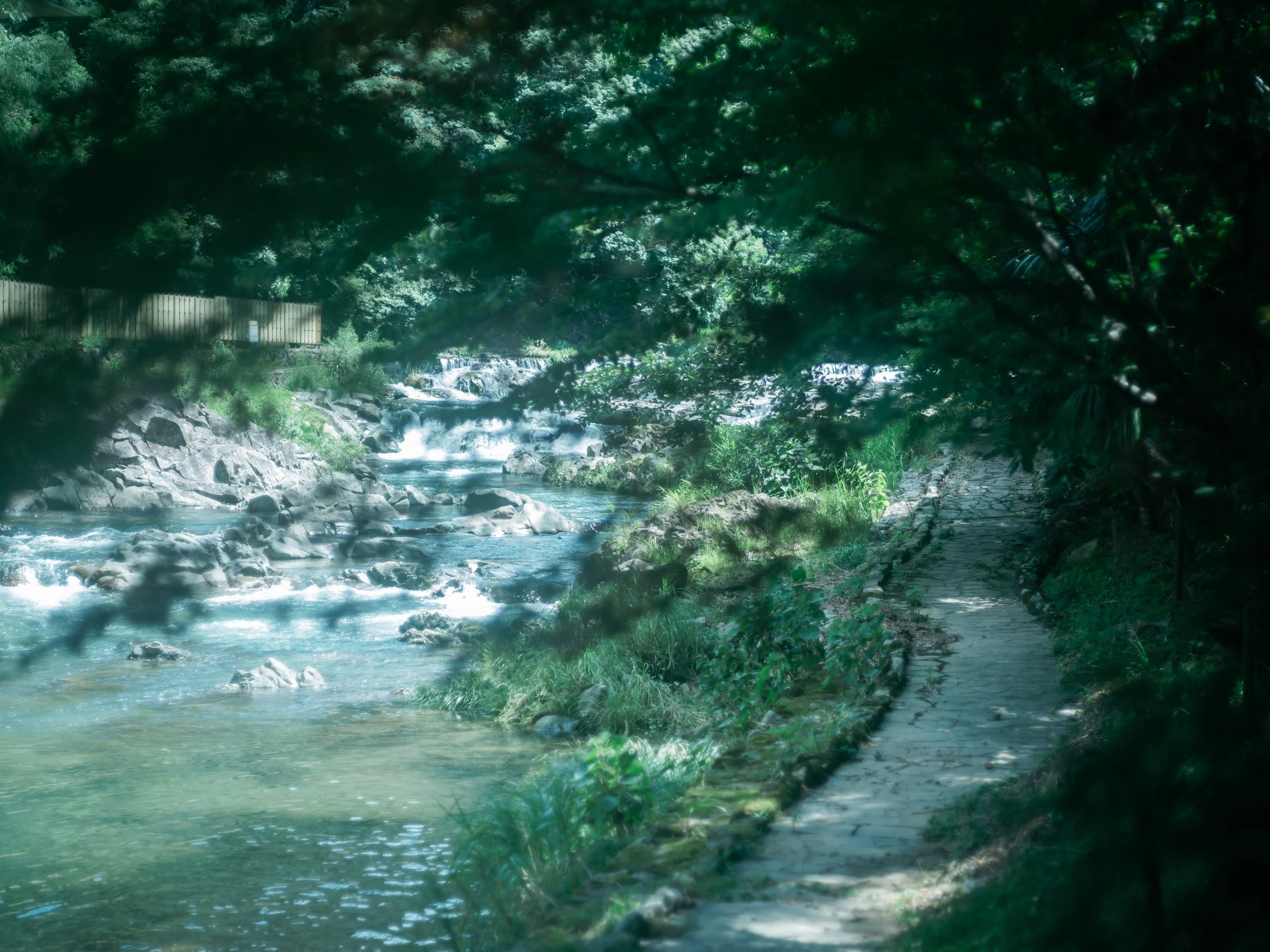 DSCF6445.jpg